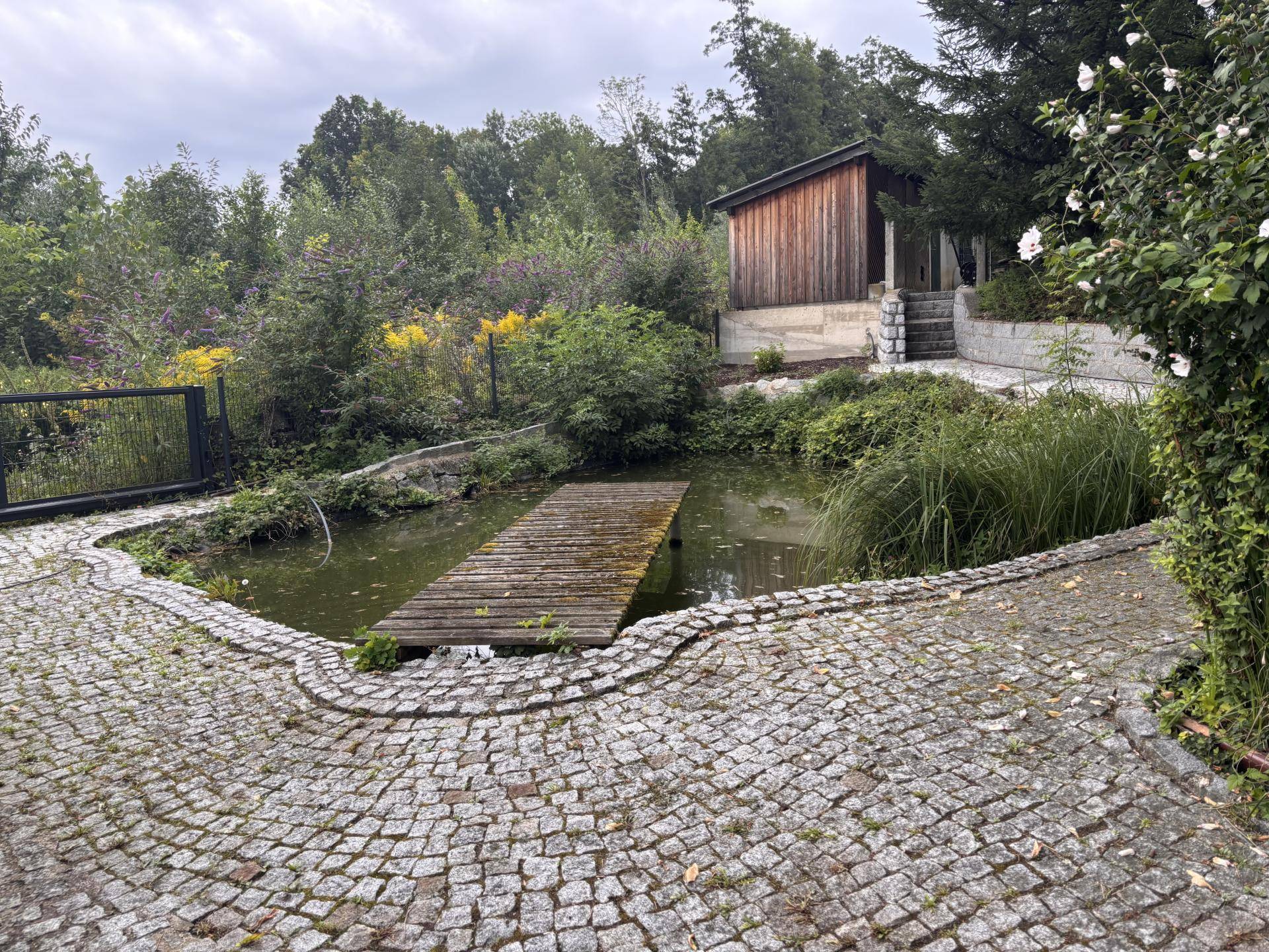 Natürlicher Teich mit Holzsteg und einem kleinen Holzschuppen, umgeben von üppiger Vegetation.
