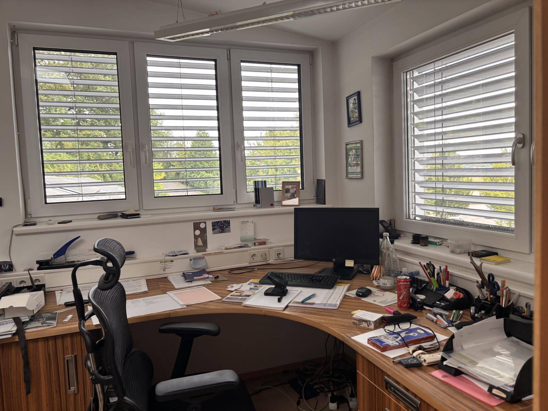 Helles Büro mit großem Schreibtisch, vielen Fenstern und Blick ins Grüne.