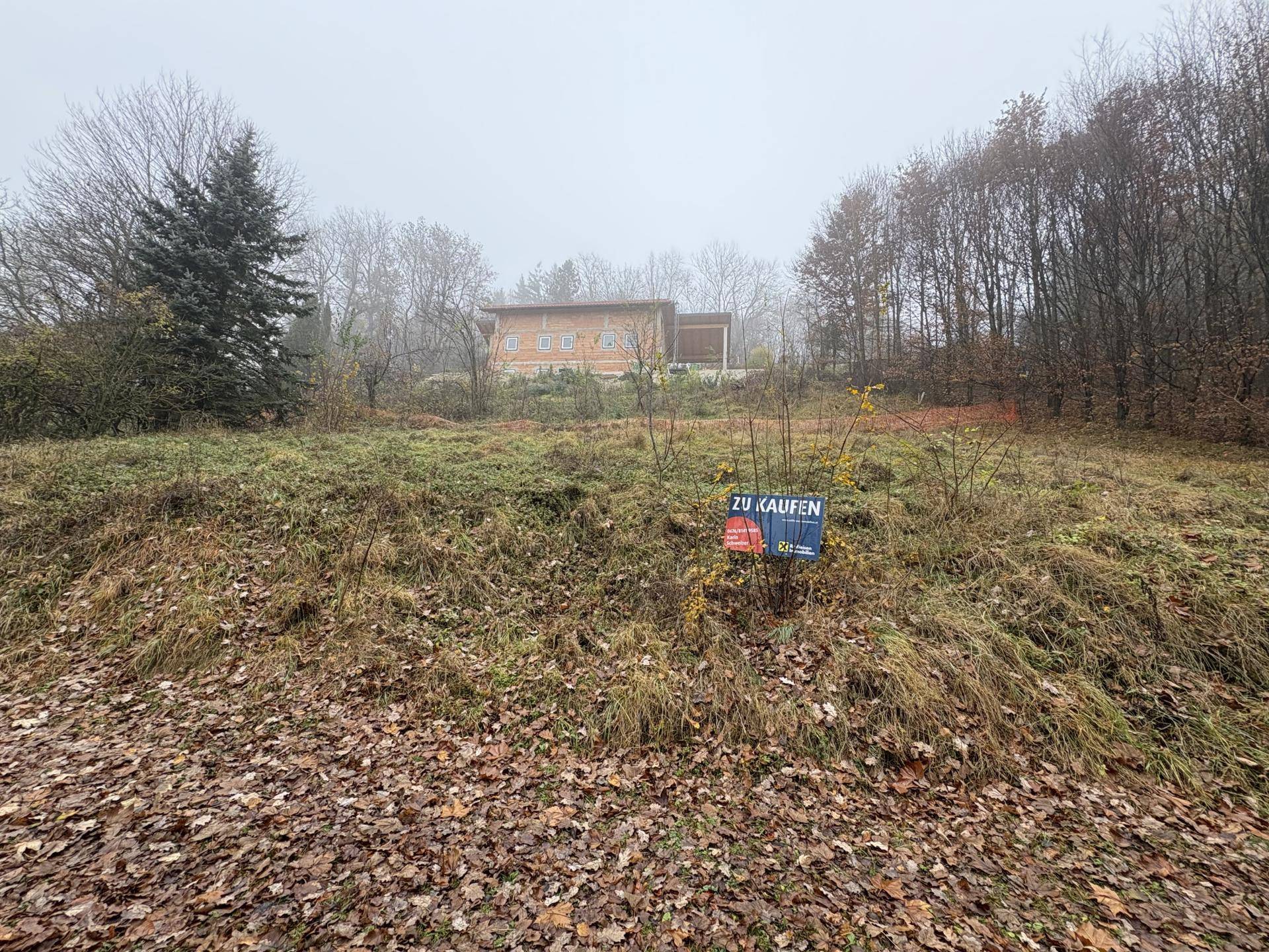 Herbstliche Ansicht des Grundstücks mit Verkaufsanzeige und Neubau im Nebel.