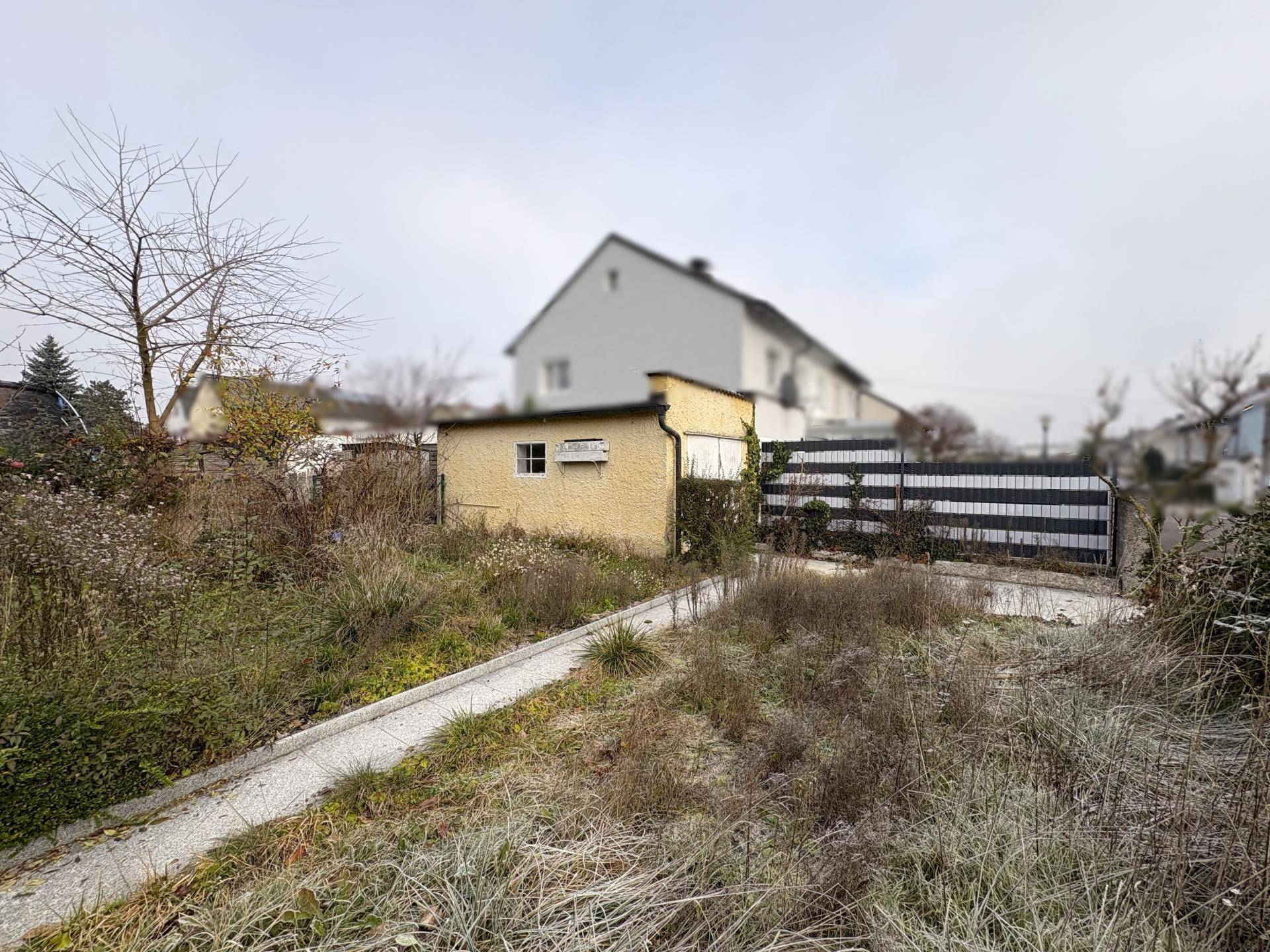 Verwilderter Gartenbereich mit einem kleinen Schuppen und einem Zaun im Hintergrund.