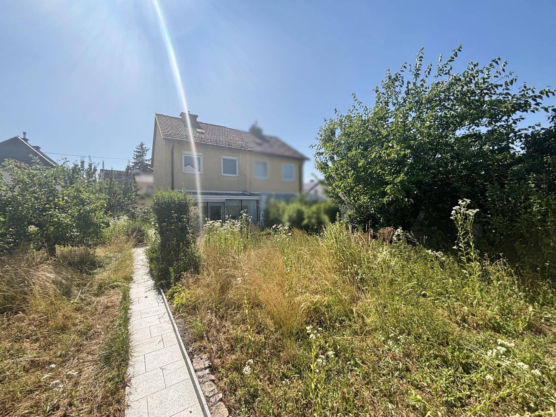 Grüner Gartenbereich im Sommer mit üppiger Vegetation und dem Haus im Hintergrund.