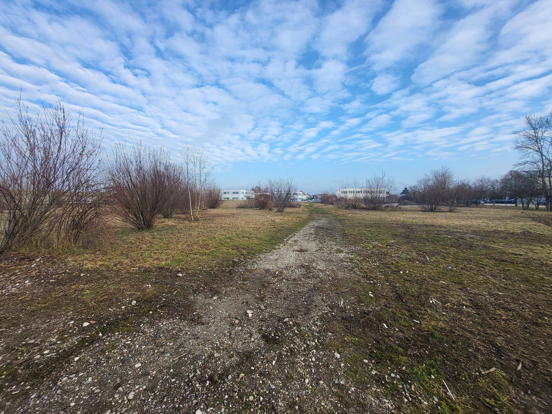 Weites, unbebautes Grundstück mit einem Feldweg, umgeben von Sträuchern und Bäumen unter einem blauen Himmel mit Wolken.