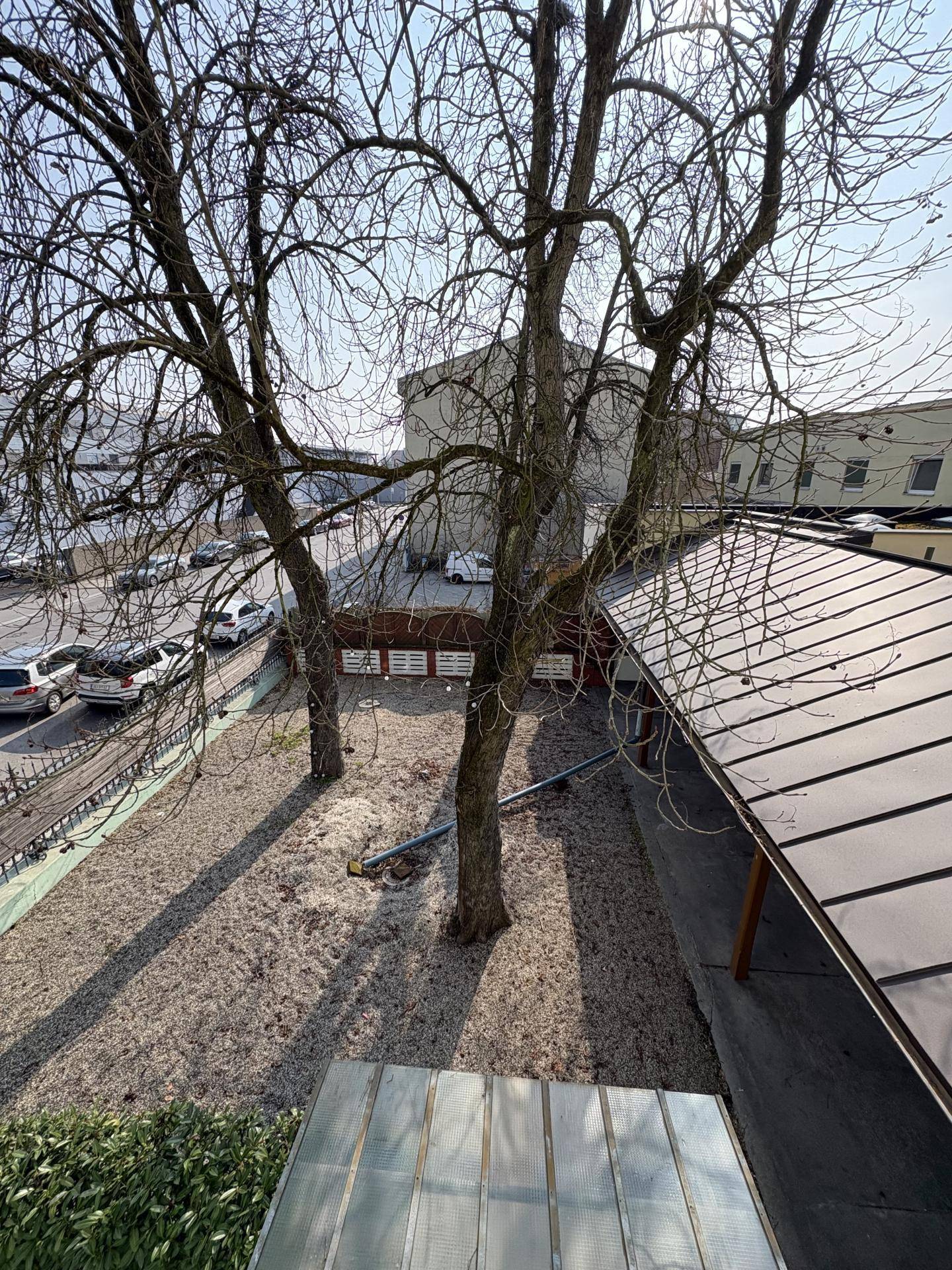 Außenbereich mit Kiesboden und kahlen Bäumen, umgeben von Gebäuden und einer überdachten Struktur, unter klarem Himmel.