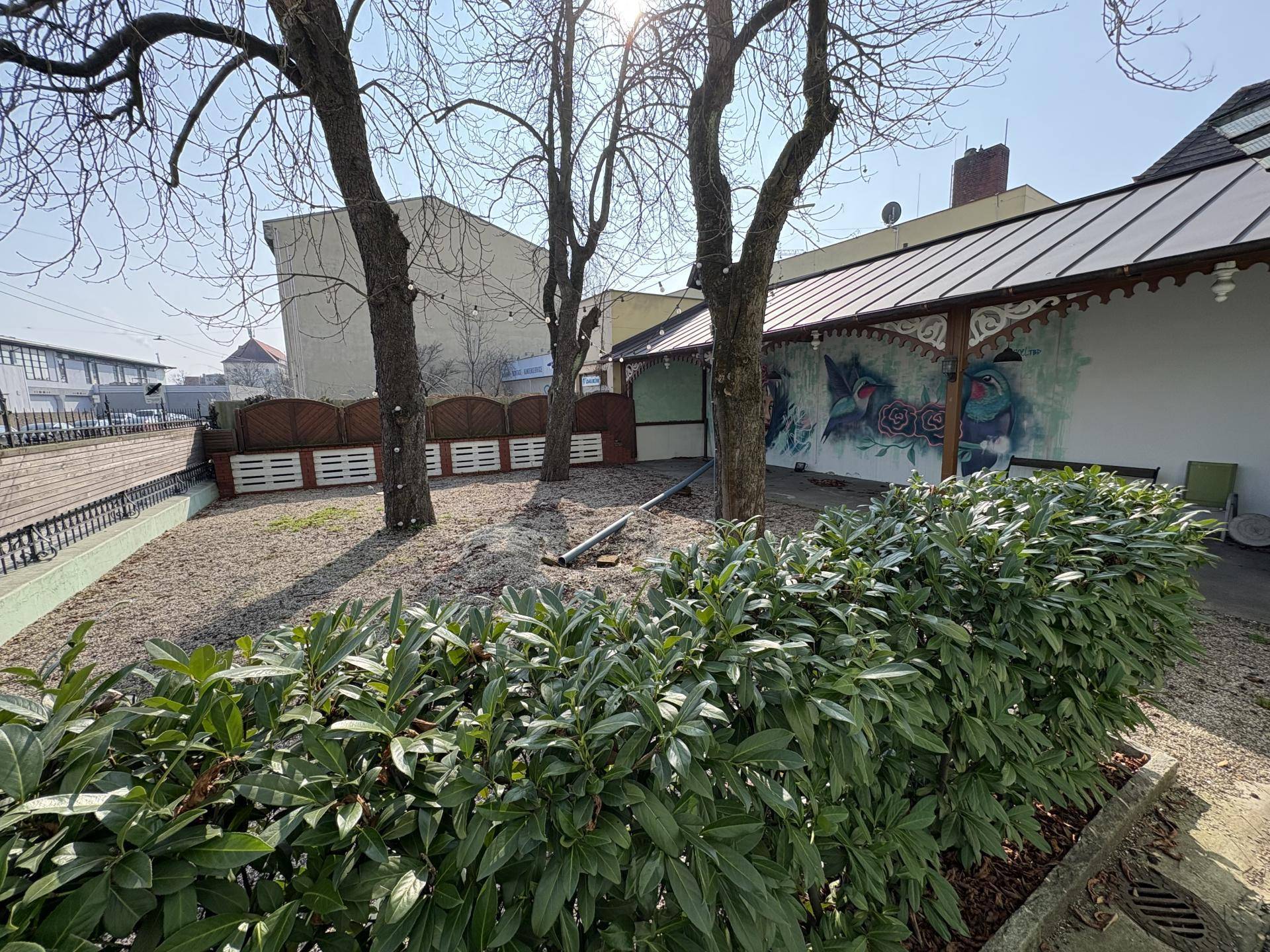 Gartenbereich mit Hecke im Vordergrund, Kiesboden, Bäumen und einer überdachten Fläche mit Wandmalereien, bei hellem Sonnenlicht.