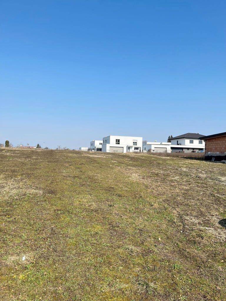 Unbebautes Grundstück mit Grasfläche und modernen Wohnhäusern im Hintergrund unter klarem Himmel.