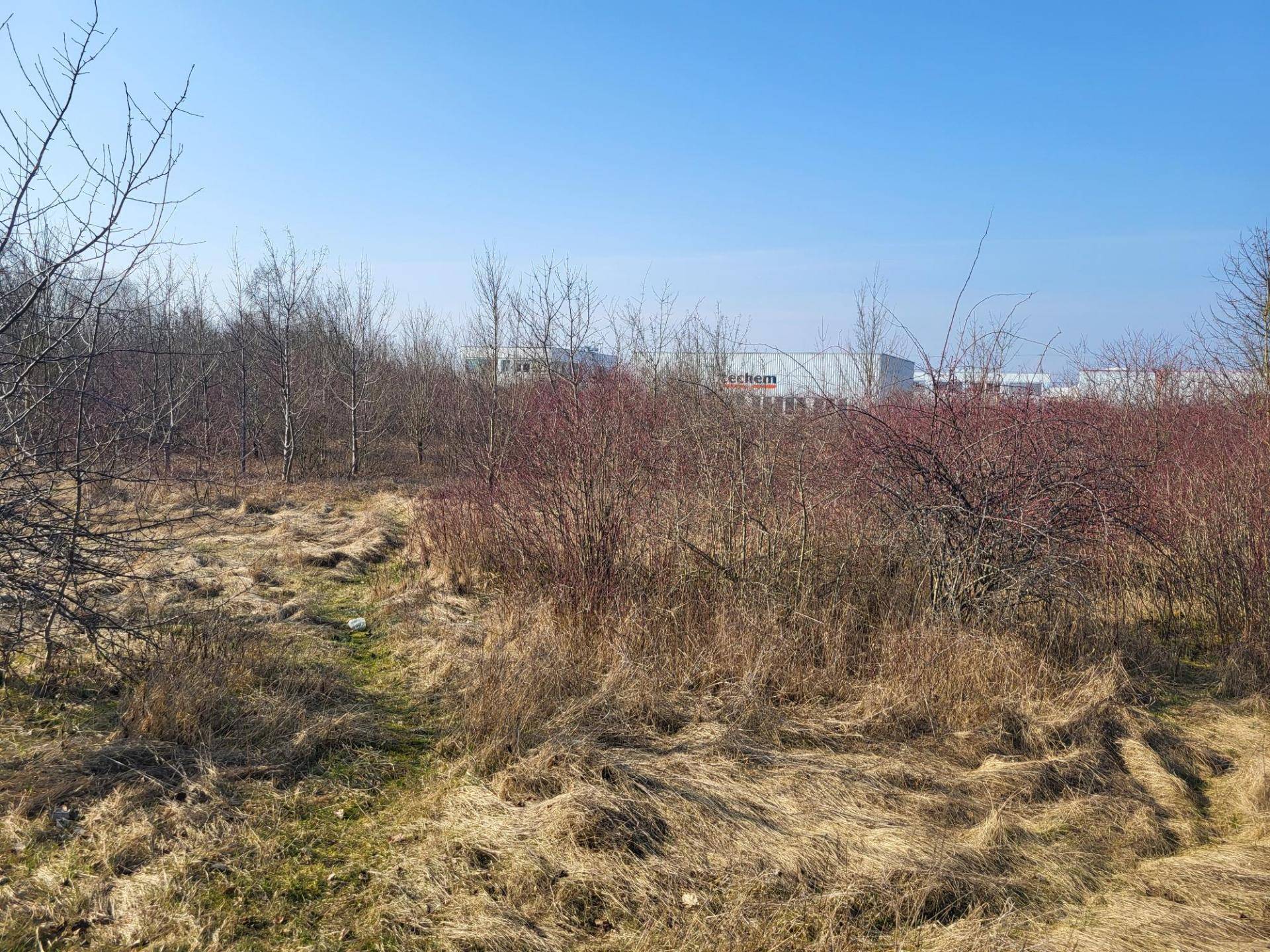Unbebautes Gelände mit trockenem Gras und Sträuchern, im Hintergrund sind Industriegebäude unter blauem Himmel sichtbar.