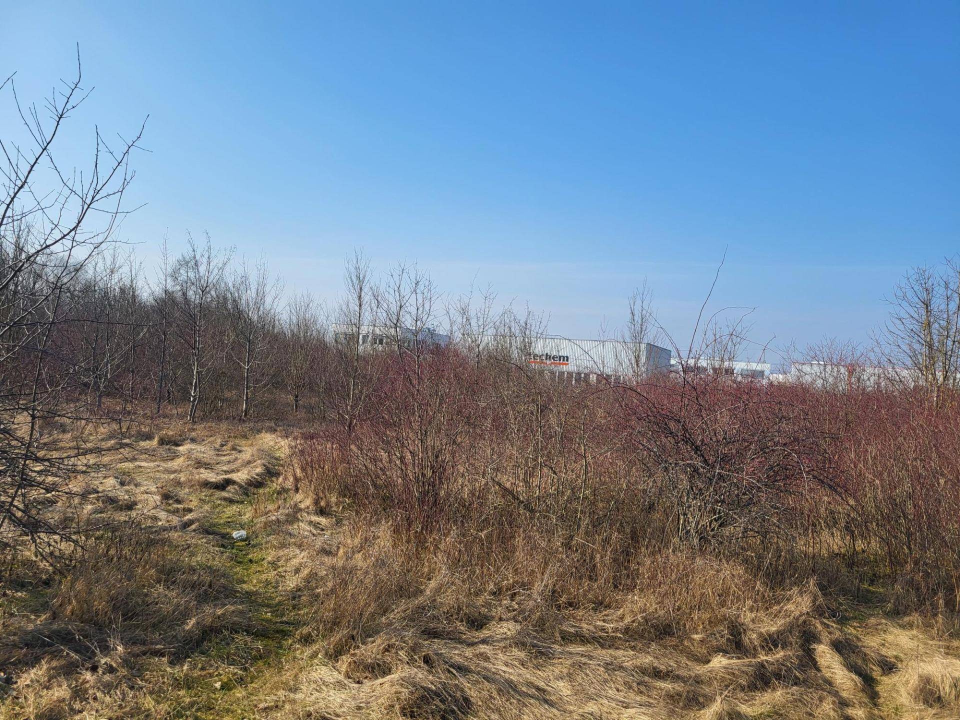 Weitläufiges unbebautes Grundstück mit trockener Vegetation und Sträuchern, mit einem Industriegebäude in der Ferne.