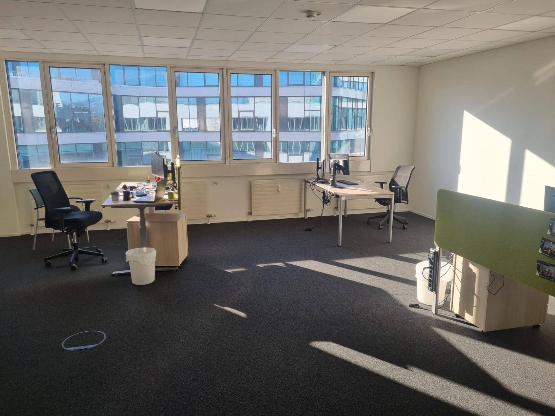 Geräumiges Büro mit mehreren Arbeitsplätzen, großen Fenstern und dunklem Teppichboden, hell beleuchtet durch die Sonne.