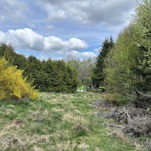 Weitläufiges grünes Grundstück mit verschiedenen Bäumen und Sträuchern unter einem bewölkten Himmel.
