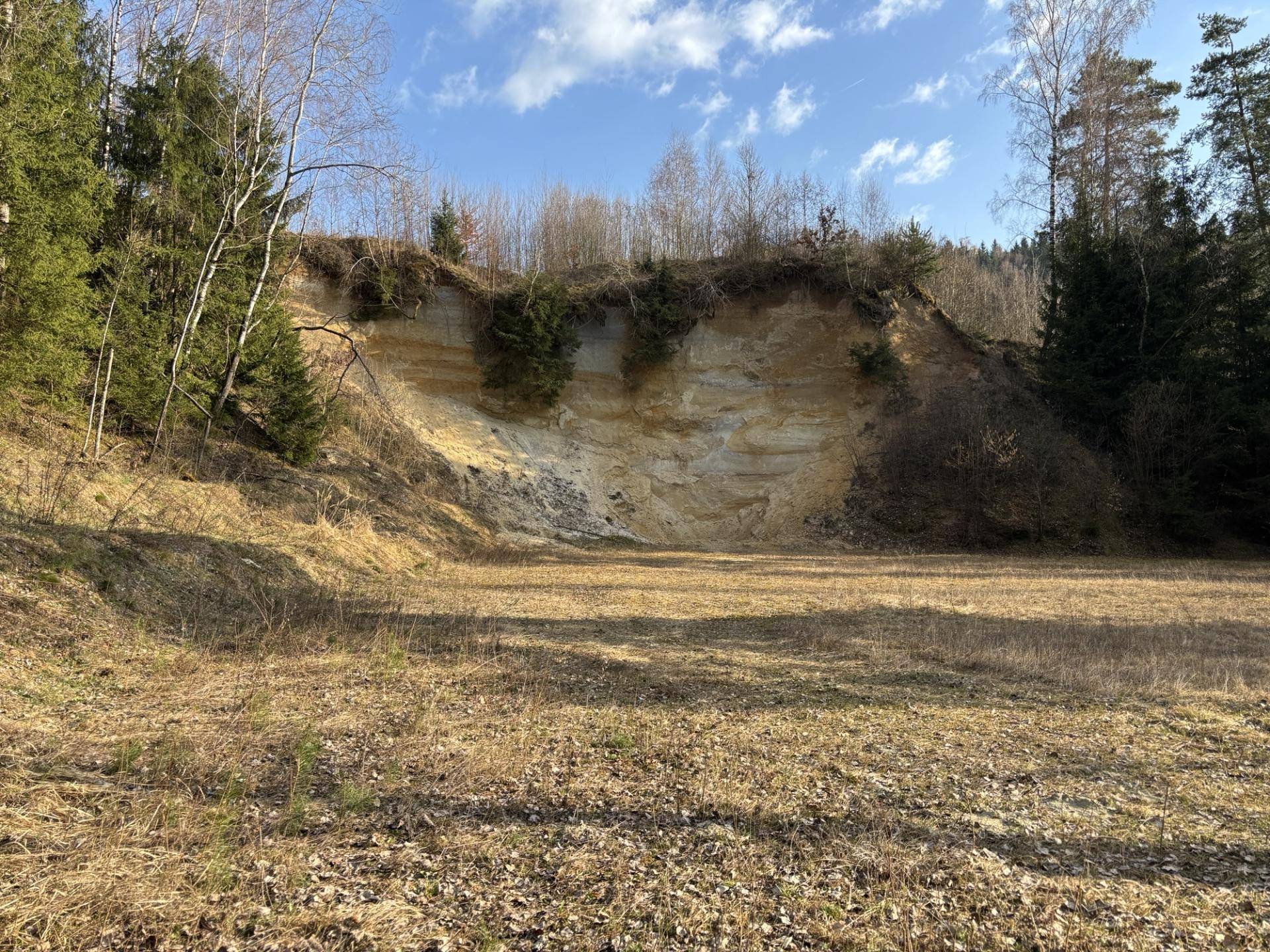 Eine natürliche Sand- oder Erdklippe umgeben von Bäumen und trockenem Gras unter blauem Himmel.