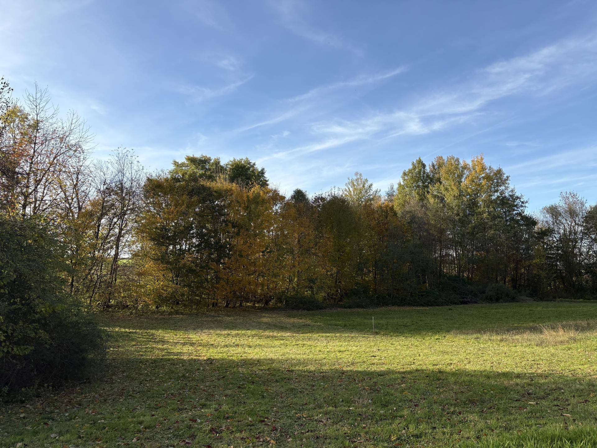 Idyllisches Baugrundstück im Grünen - Ansicht 3