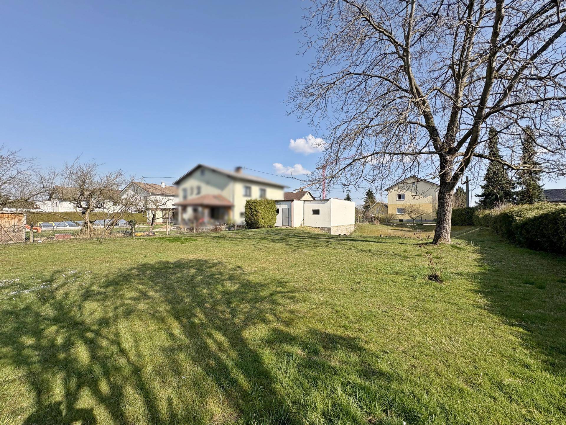 Sonniger Garten mit weitläufiger Rasenfläche und Bäumen, umgeben von Wohngebäuden.