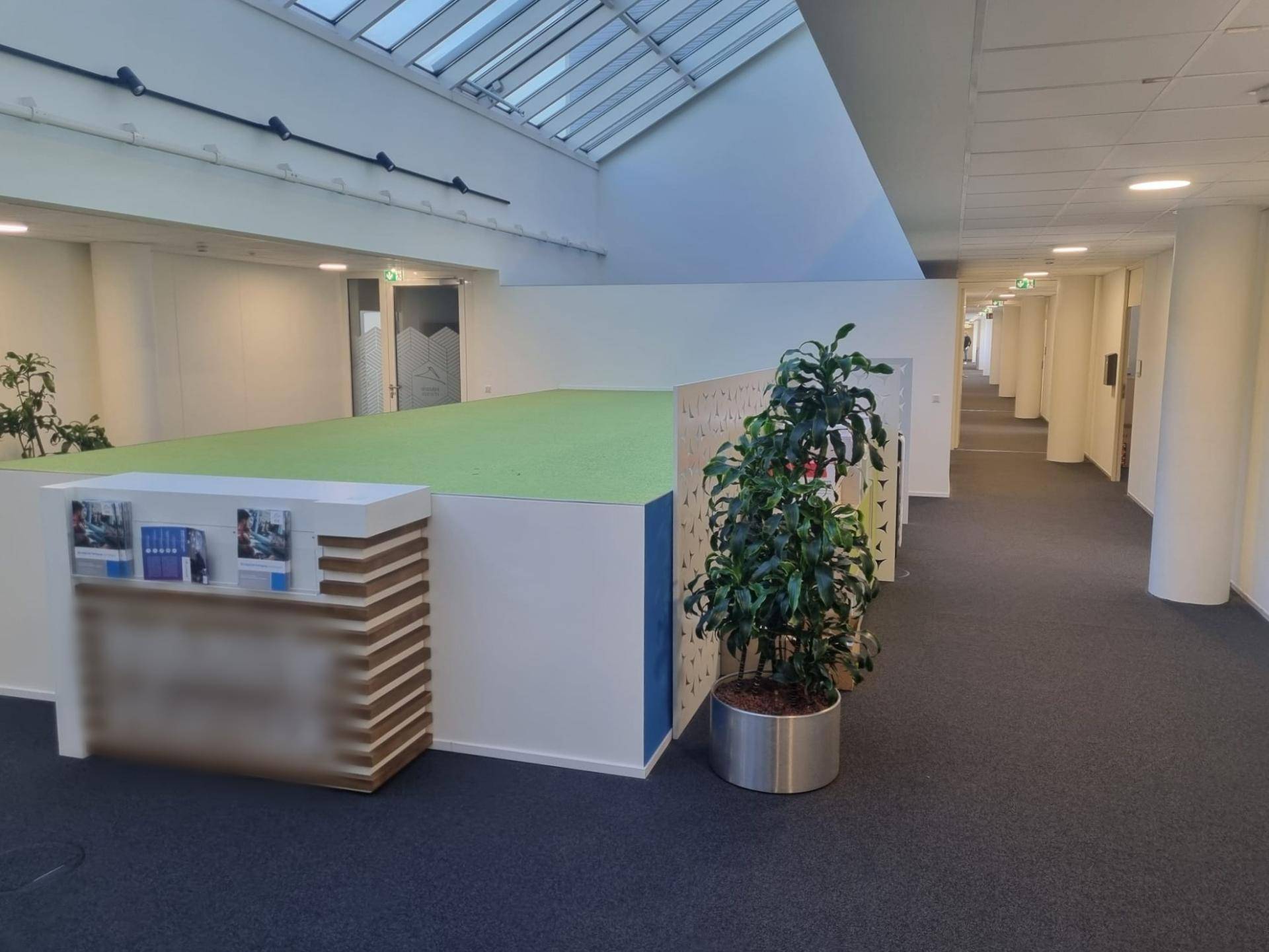 Langer Bürogang mit Teppichboden, Oberlichtern und dekorativen Pflanzen, der zu weiteren Büroräumen führt.
