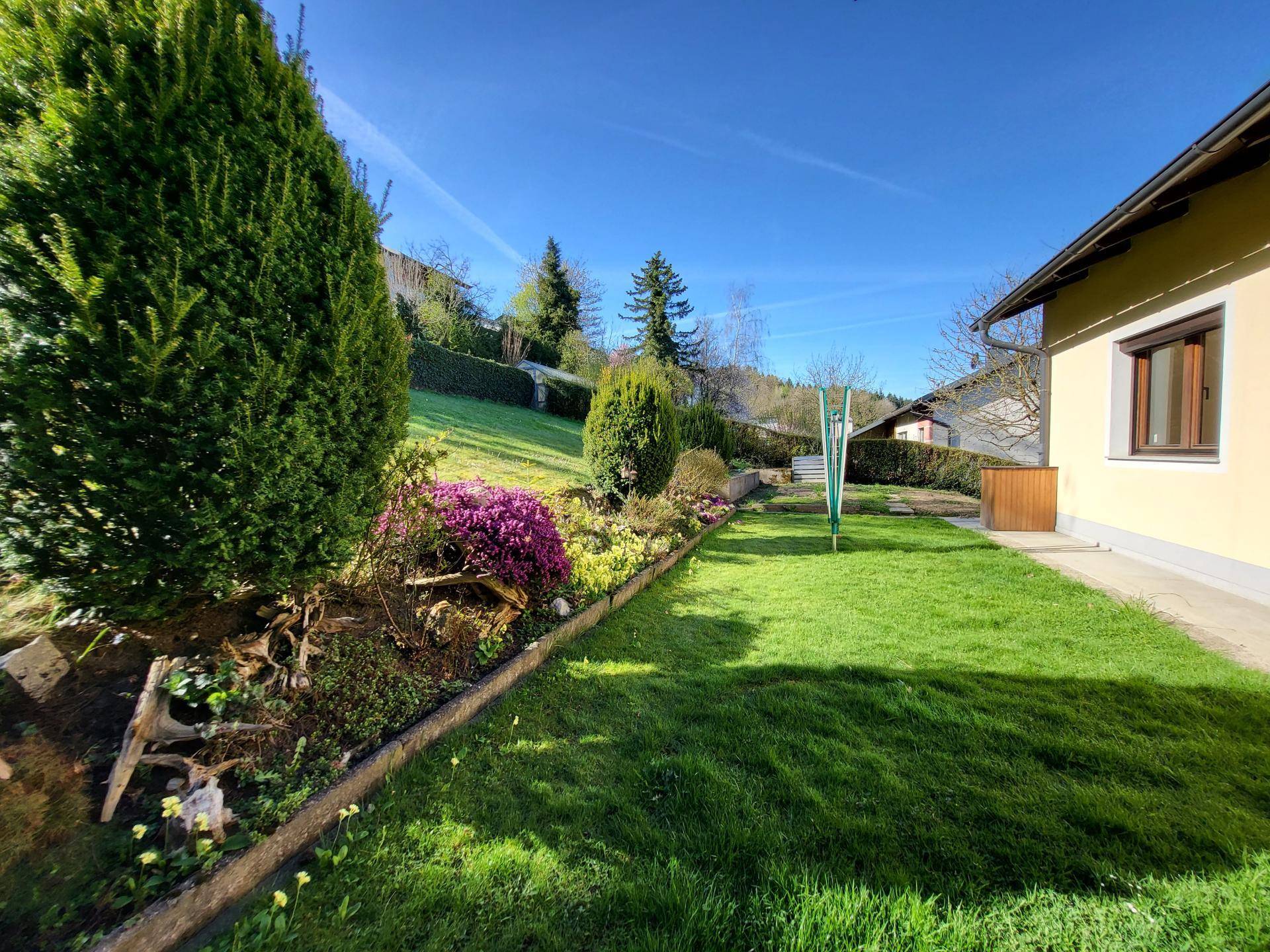 Bunter Gartenbereich mit blühenden Pflanzen, Rasen und Sträuchern.