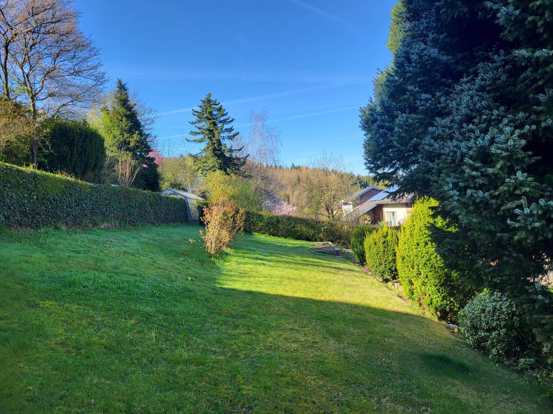 Weitläufiger Garten mit gepflegtem Rasen, hohen Hecken und Bäumen.
