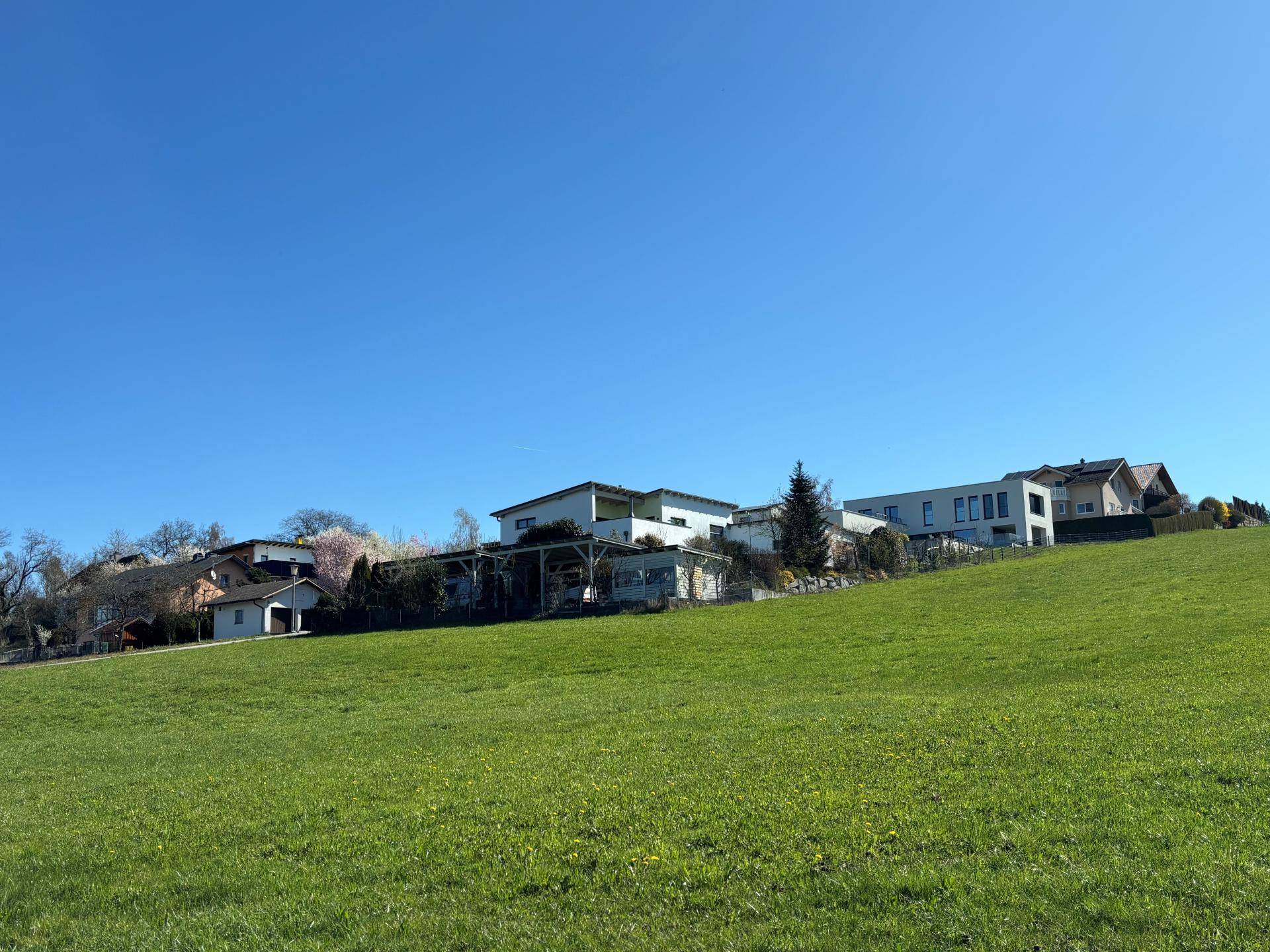 Weitläufige grüne Hügellandschaft mit Wohnhäusern am Horizont unter klarem, blauem Himmel.