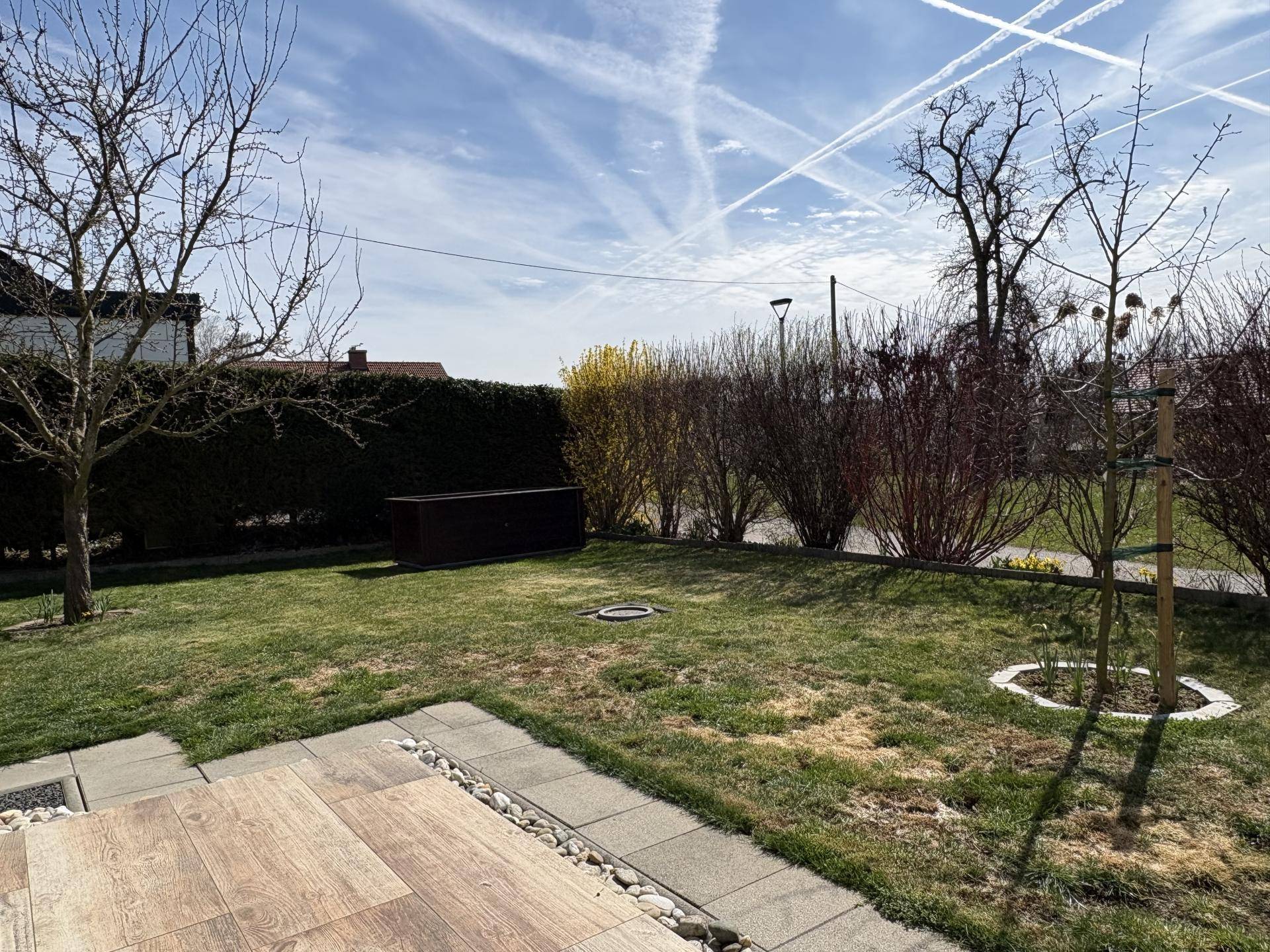 Gepflegte Rasenfläche im Garten mit Hecke, Bäumen und sonnigem Ausblick.