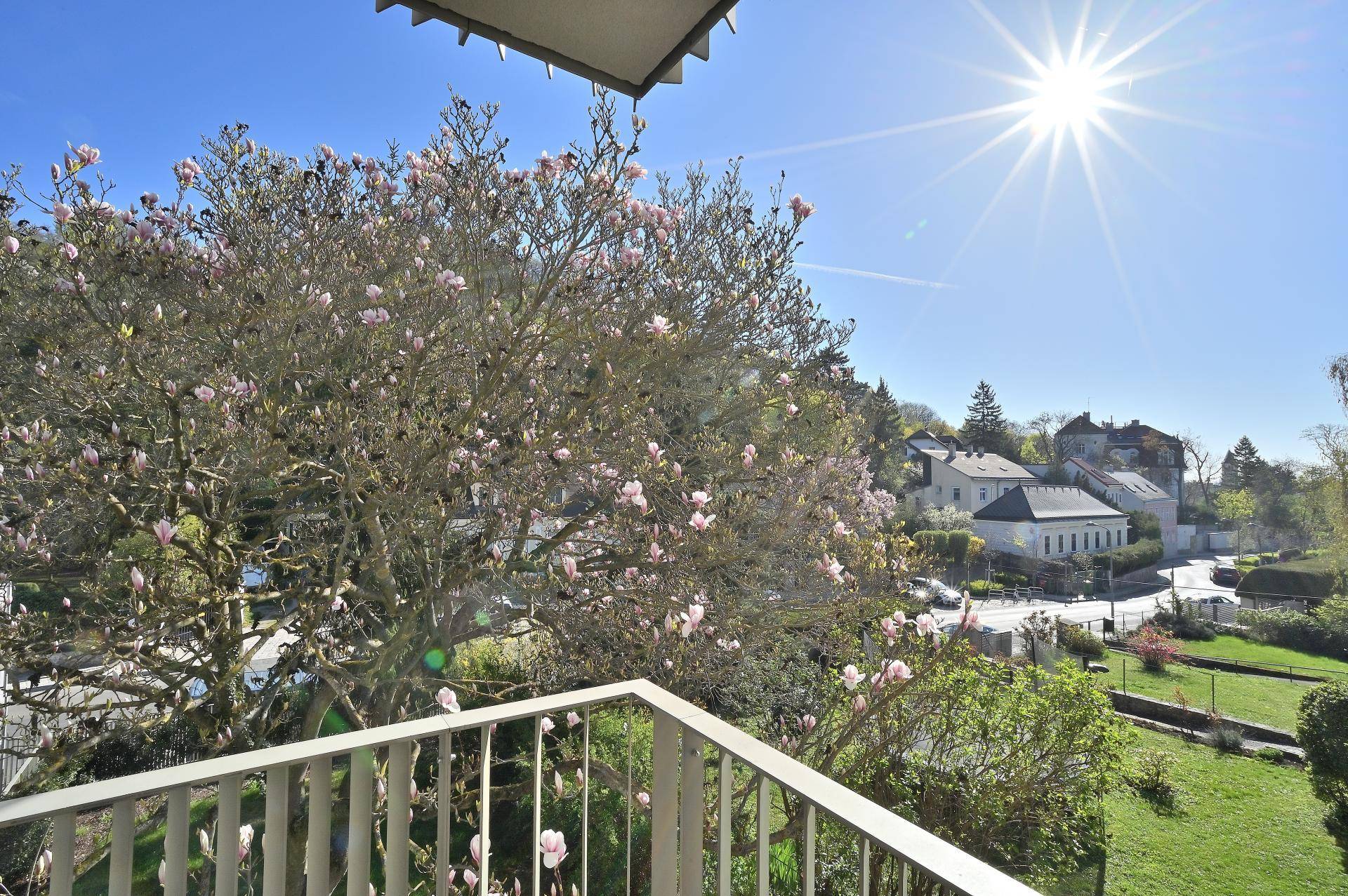 Sonniger Ausblick vom Balkon auf blühende Bäume und die umliegende Wohngegend.