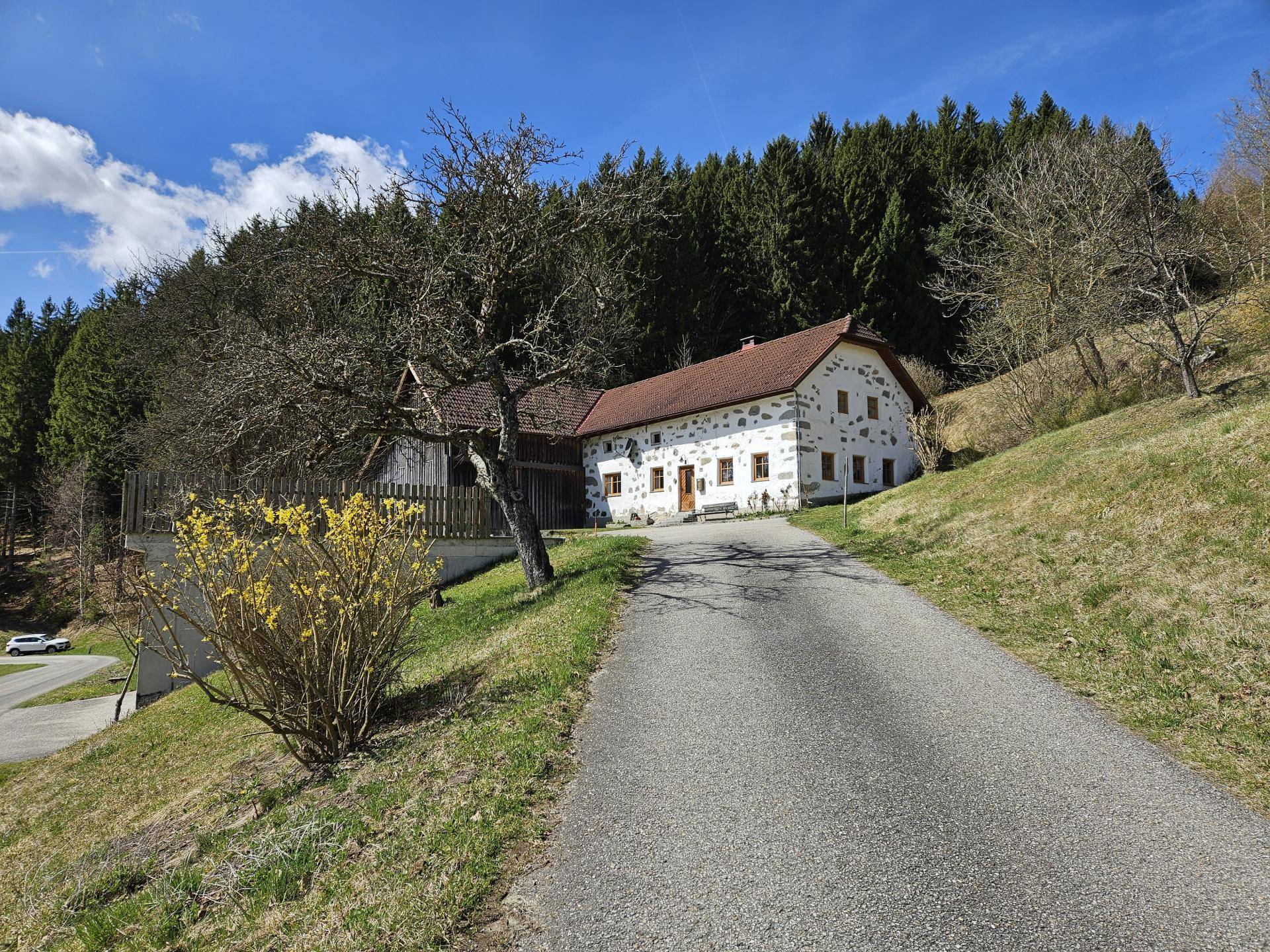 Sacherl mit ca. 4,9 ha arrondiertem Wald- und Wiesengrund in idyllischer Alleinlage - Ansicht 2