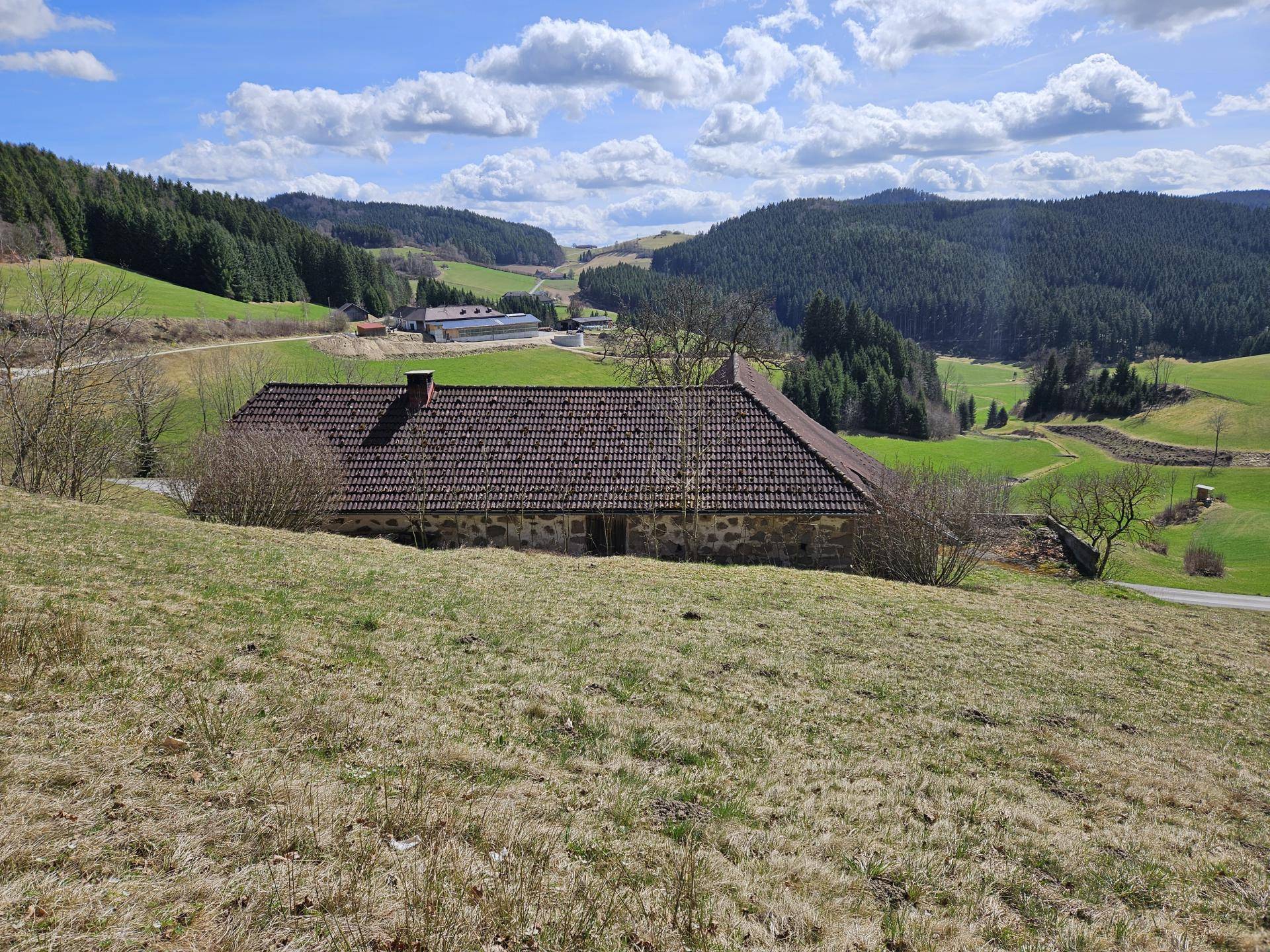 Sacherl mit ca. 4,9 ha arrondiertem Wald- und Wiesengrund in idyllischer Alleinlage - Ansicht 4