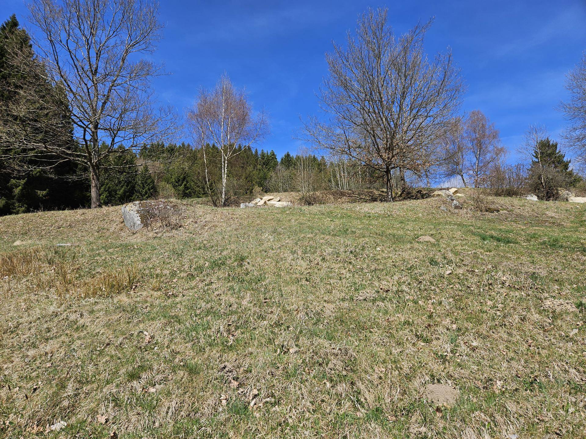 Sacherl mit ca. 4,9 ha arrondiertem Wald- und Wiesengrund in idyllischer Alleinlage - Ansicht 6
