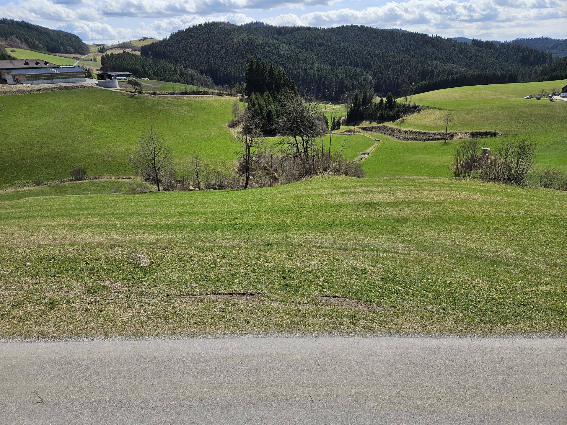 Sacherl mit ca. 4,9 ha arrondiertem Wald- und Wiesengrund in idyllischer Alleinlage - Mehr