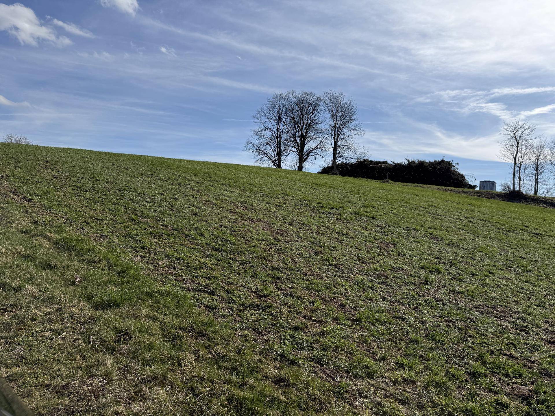 Sanfte grüne Hügel unter weitem Himmel, typisch für die ländliche Umgebung.