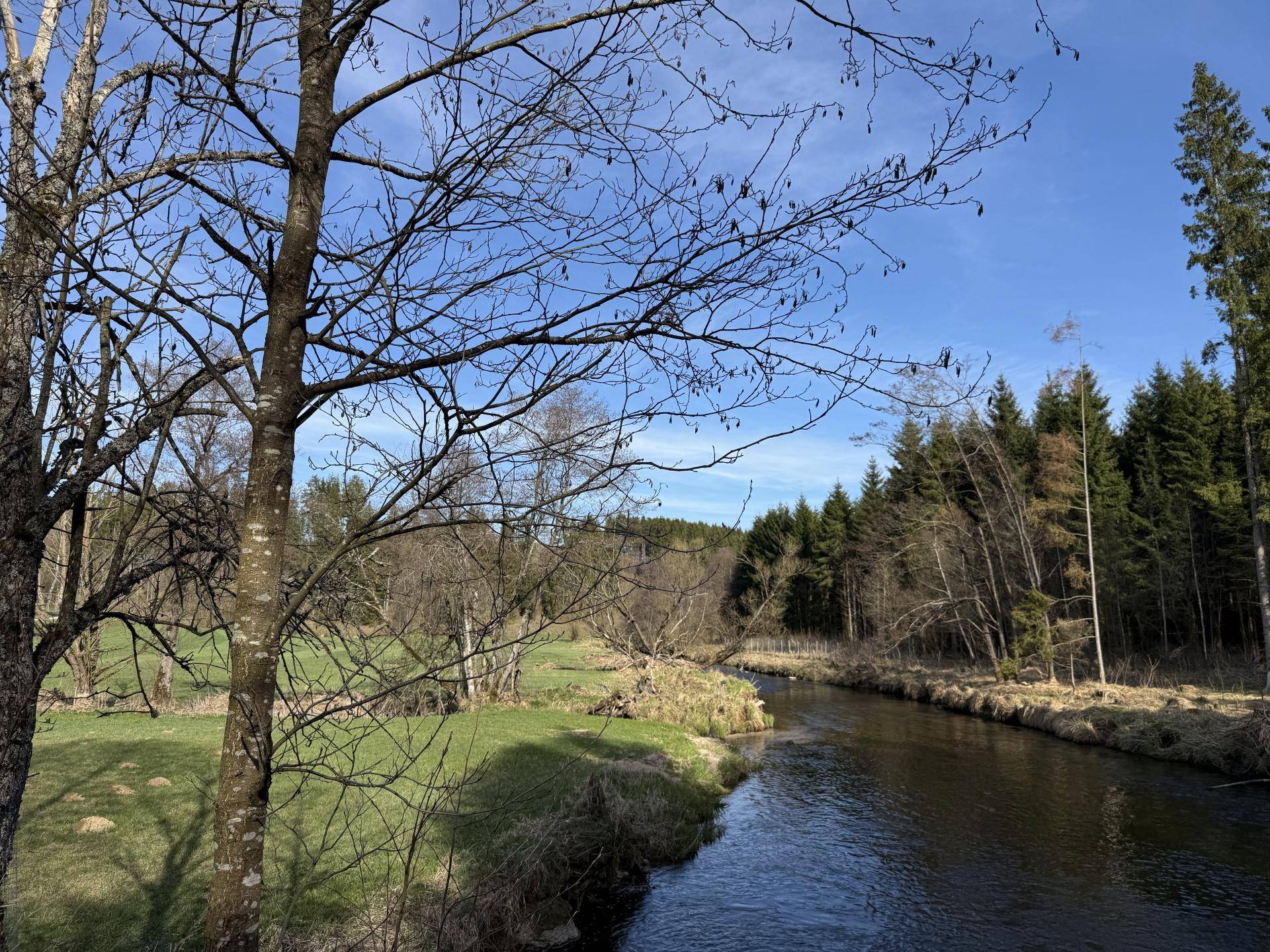 Idyllischer Flusslauf umgeben von Bäumen und grünen Wiesen unter blauem Himmel.