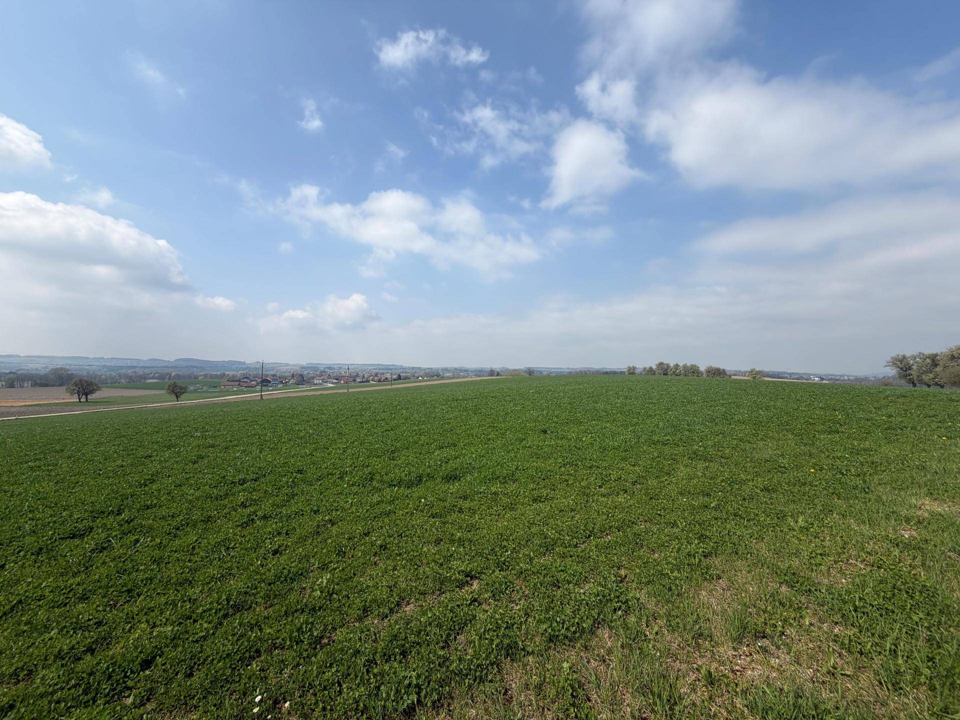Panoramablick über weite grüne Wiesen und Felder mit einem Dorf am Horizont.