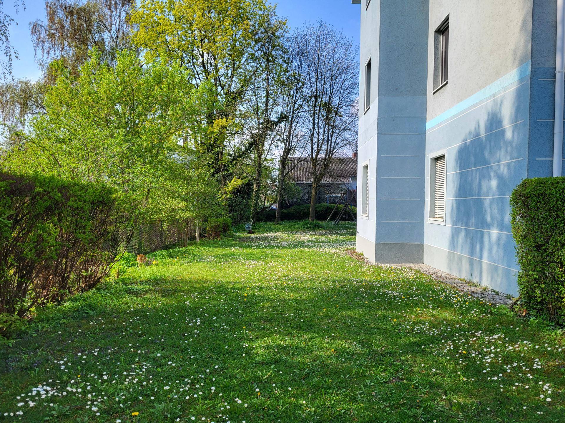 Gepflegter Gemeinschaftsgarten mit Rasenfläche und Hecken, umgeben von Bäumen.