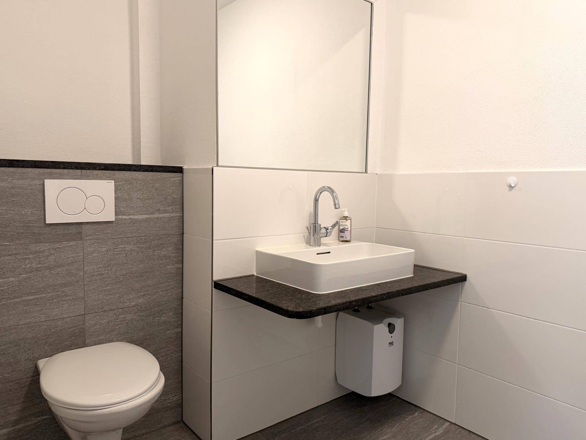 Modernes WC mit wandhängender Toilette, Aufsatzwaschbecken und großem Spiegel.