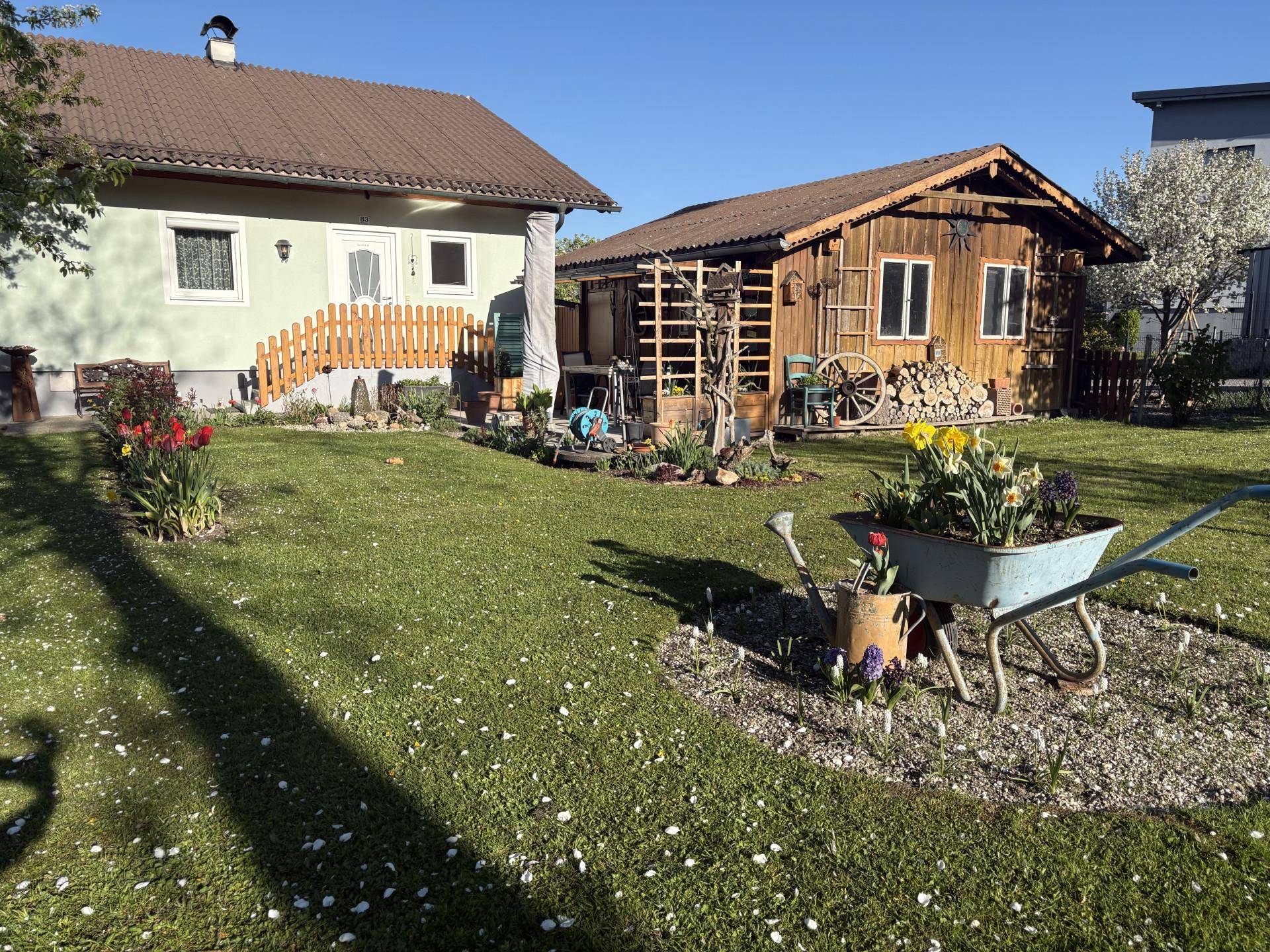 Gepflegter Garten mit Rasenfläche, Blumenbeeten und einem Holzschuppen im Hintergrund.