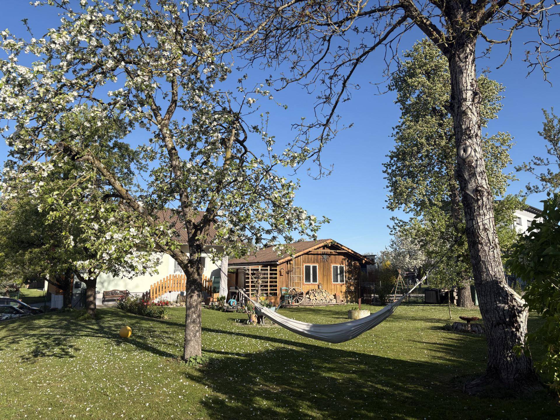 Großer Garten mit blühenden Bäumen, Rasenfläche und Hängematte zum Entspannen.