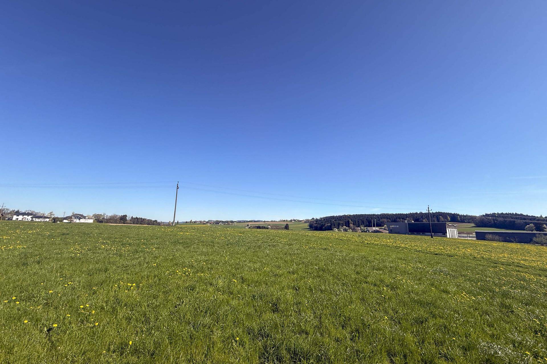 Ausgedehnte grüne Wiesenfläche unter klarem blauem Himmel mit vereinzelten Gebäuden und Wald in der Ferne.