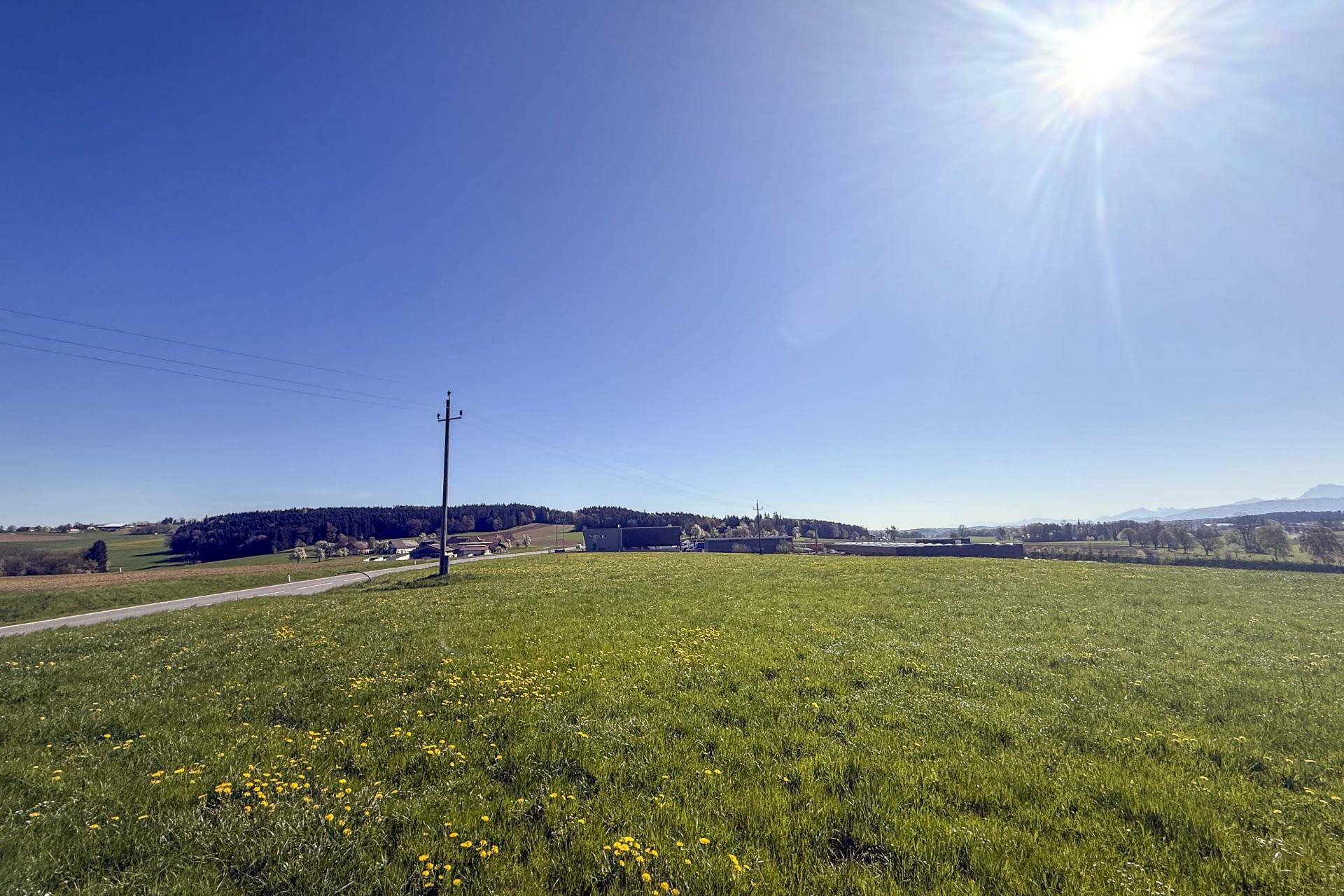 Weitläufige grüne Wiese neben einer Landstraße mit Blick auf entfernte Gebäude und Berge unter blauem Himmel.