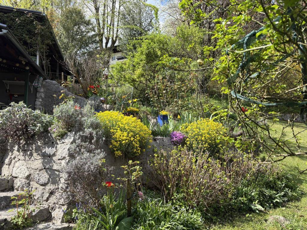 Terrassierter Gartenbereich mit Steinmauern, üppiger Bepflanzung und blühenden Sträuchern an einem sonnigen Tag.