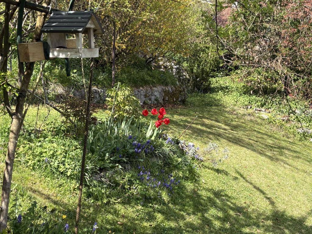 Gepflegte Rasenfläche im Garten mit bunten Blumenbeeten und einem Vogelhäuschen unter hellem Sonnenlicht.