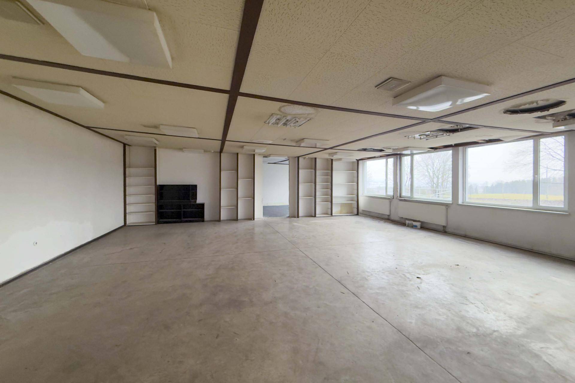 Geräumiges Büro mit abgehängter Decke, großen Fenstern und eingebauten Regalen, bietet viel Tageslicht.