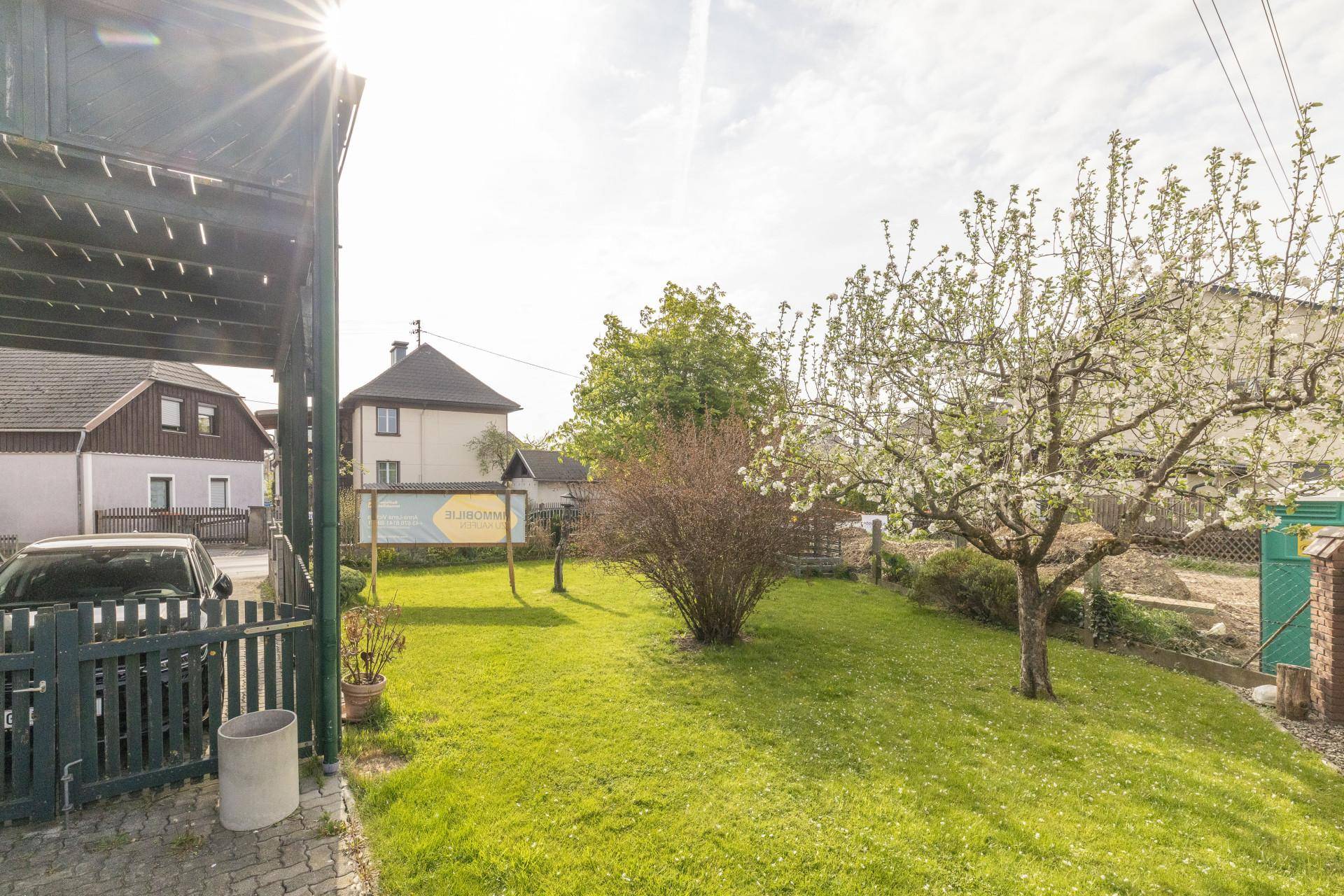 Sonniger Gartenbereich mit grünem Rasen und blühenden Bäumen, umgeben von weiteren Häusern.