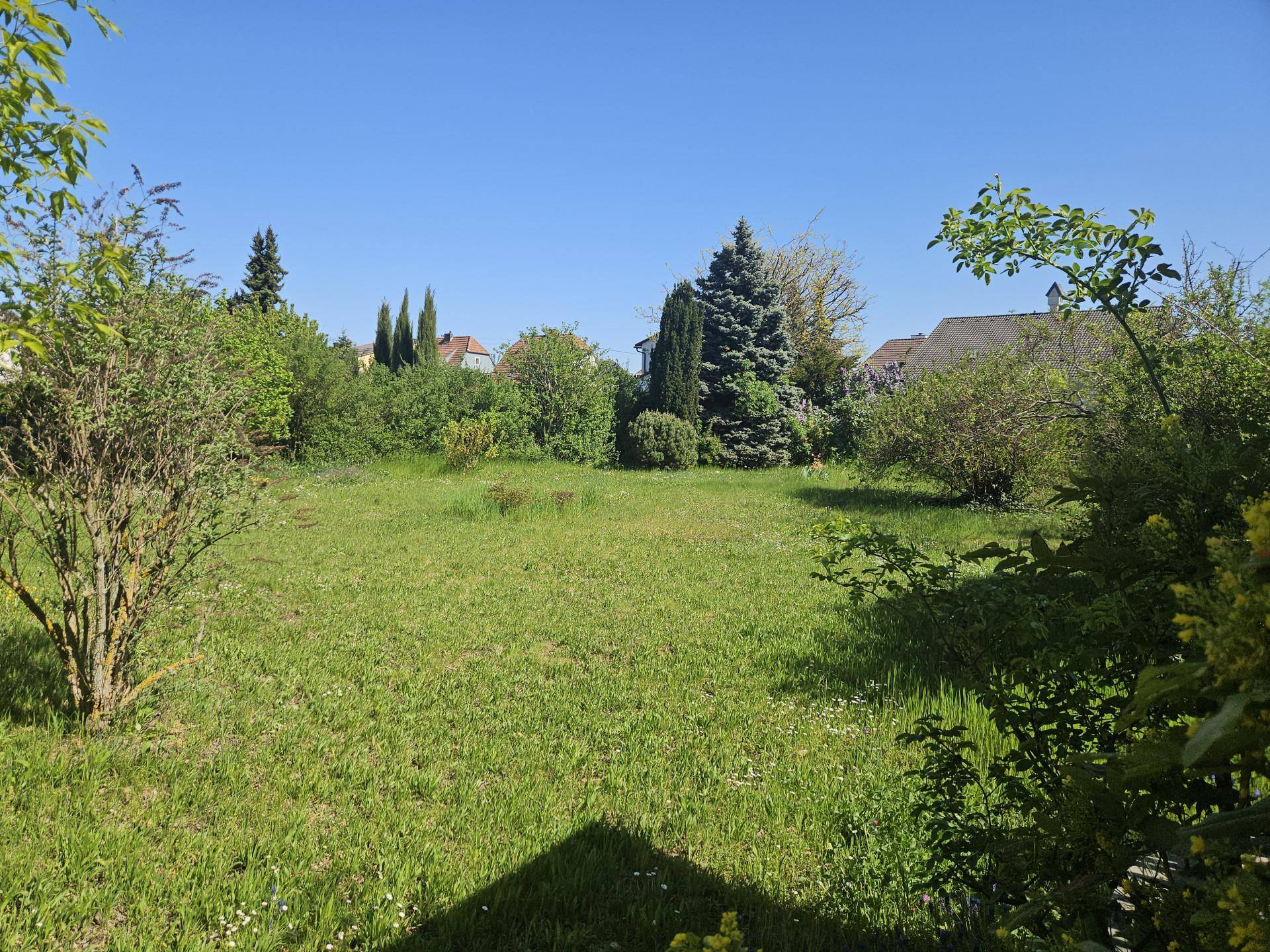 Großer, sonniger Gartenbereich mit Rasenfläche und verschiedenen Bäumen und Sträuchern.