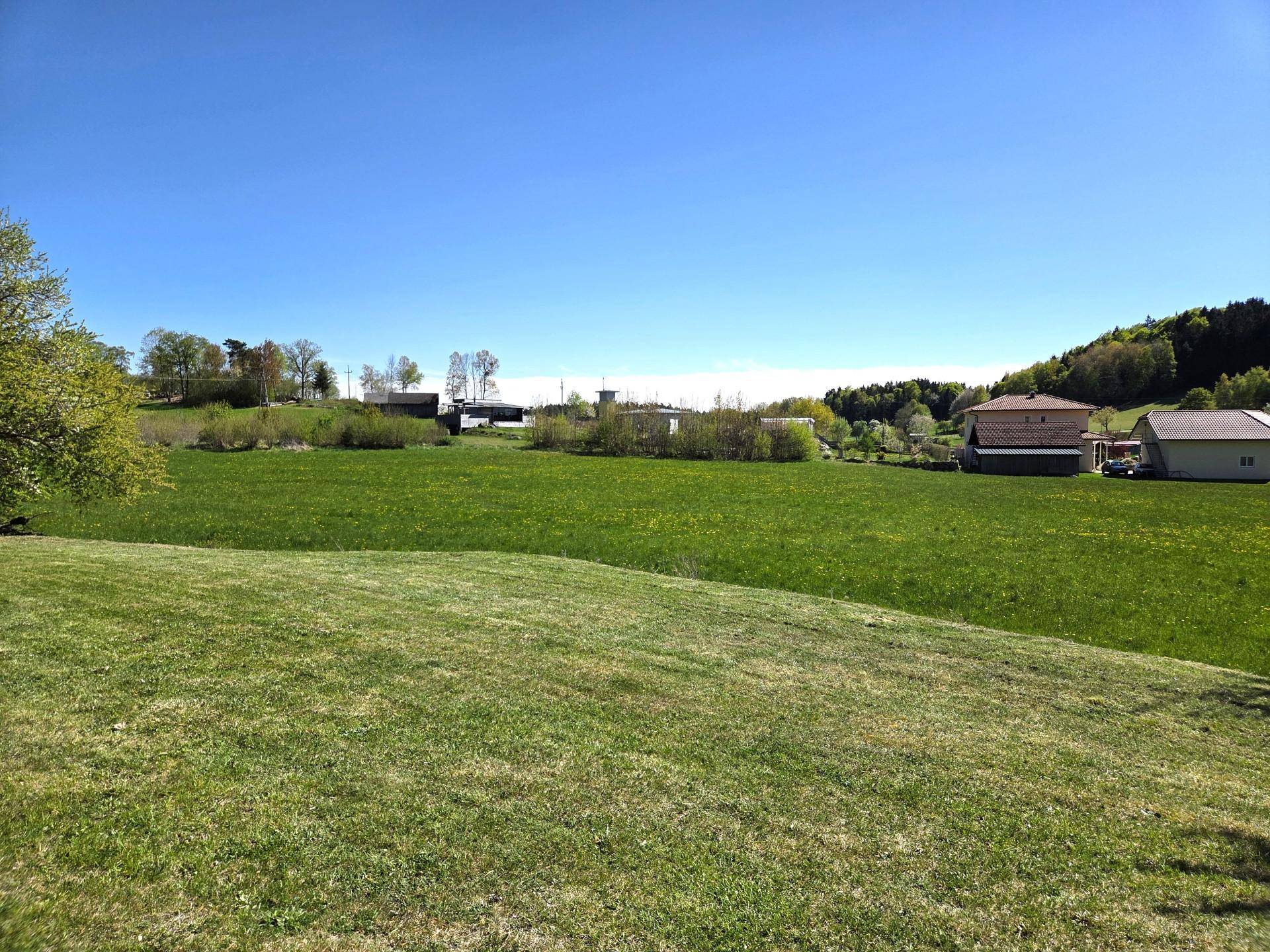 Panoramablick über weite grüne Felder und sanfte Hügel unter strahlend blauem Himmel.