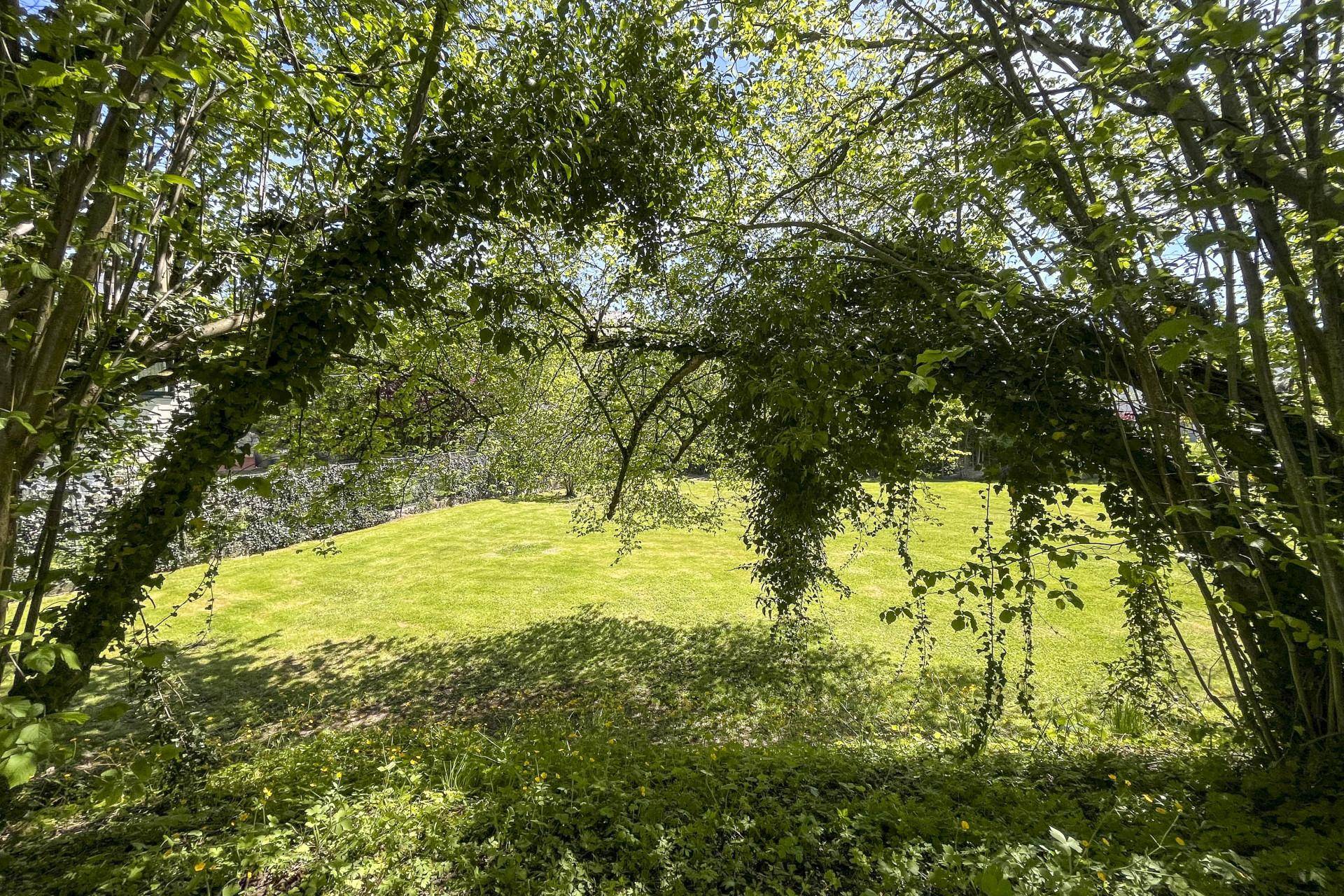 Natürlicher Gartenbereich mit üppigem Grün und Bäumen, die einen sonnigen Rasen umrahmen.