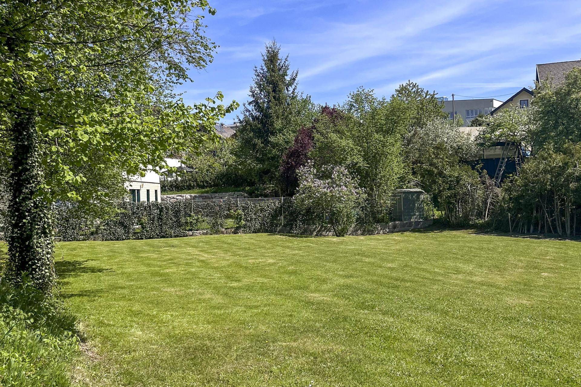 Gepflegter Garten mit weitläufigem Rasen, vielfältigen Bäumen und einem kleinen Geräteschuppen.