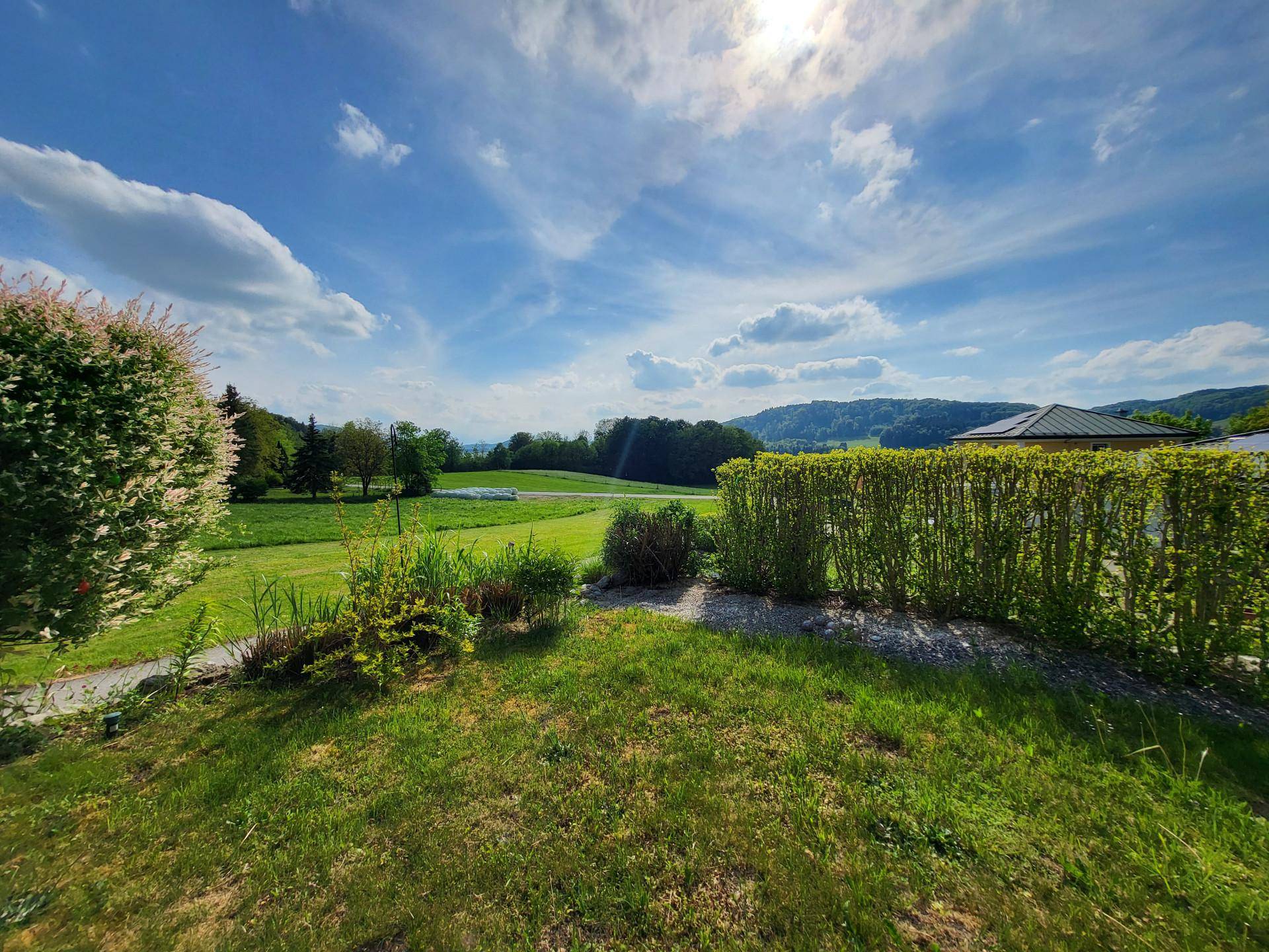 Weitläufige grüne Landschaft mit sanften Hügeln unter einem strahlend blauen Himmel.