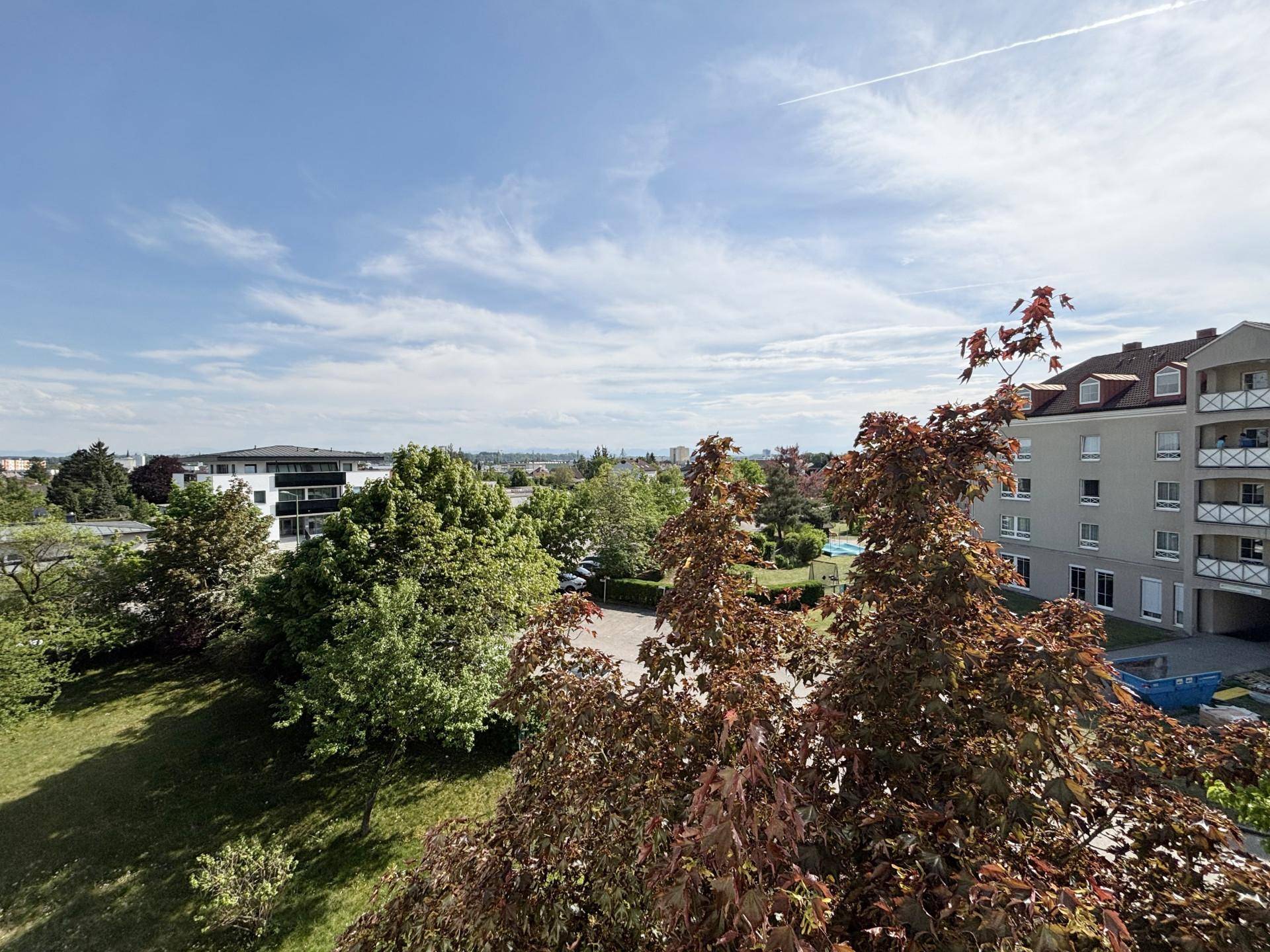 Weitblick über grüne Bäume und umliegende Gebäude unter einem klaren blauen Himmel.
