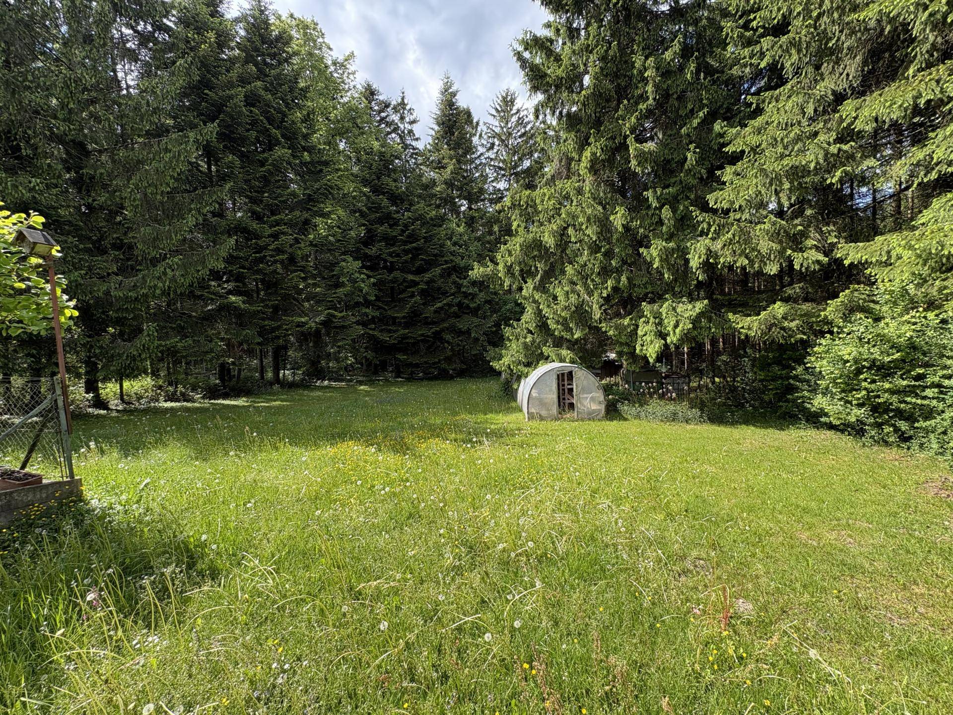 Einfamilienhaus mit großen Garten am Waldrand - Widok 2
