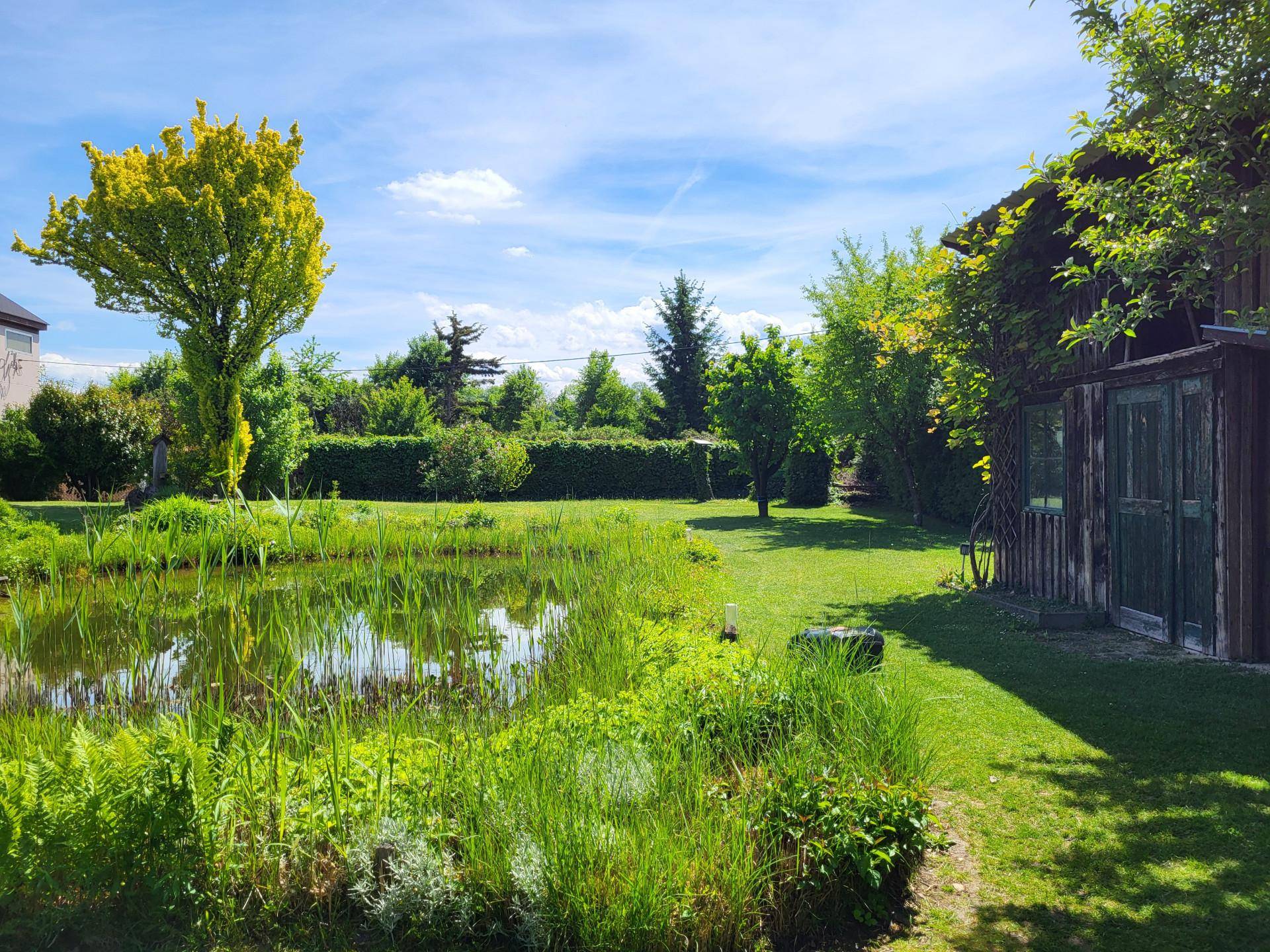 Idyllischer Garten mit Teich, umgeben von dichtem Grün und einem traditionellen Gartenhaus.