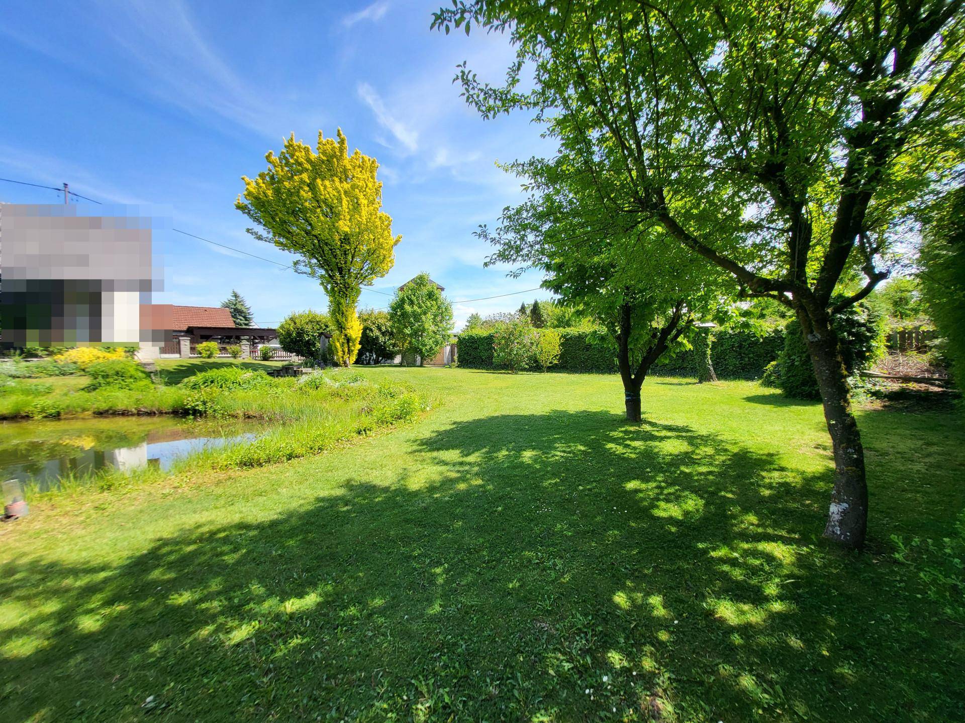 Großer, sonniger Garten mit Teich und schattenspendenden Bäumen, ideal für Erholung im Freien.
