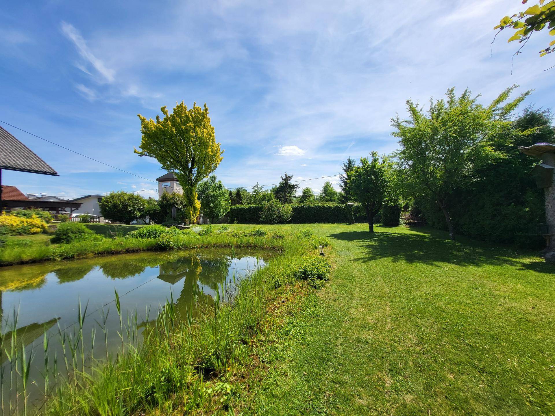 Sonniger Garten mit Teich und weitläufiger Rasenfläche, umgeben von Bäumen und Sträuchern.