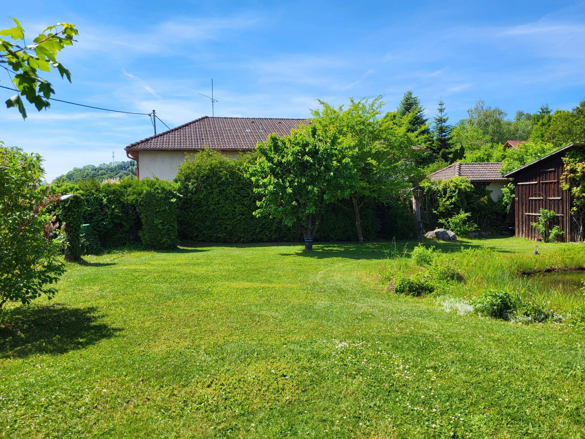 Gepflegter Garten mit Rasenfläche, Bäumen und einem Teich im Hintergrund, umgeben von Hecken.